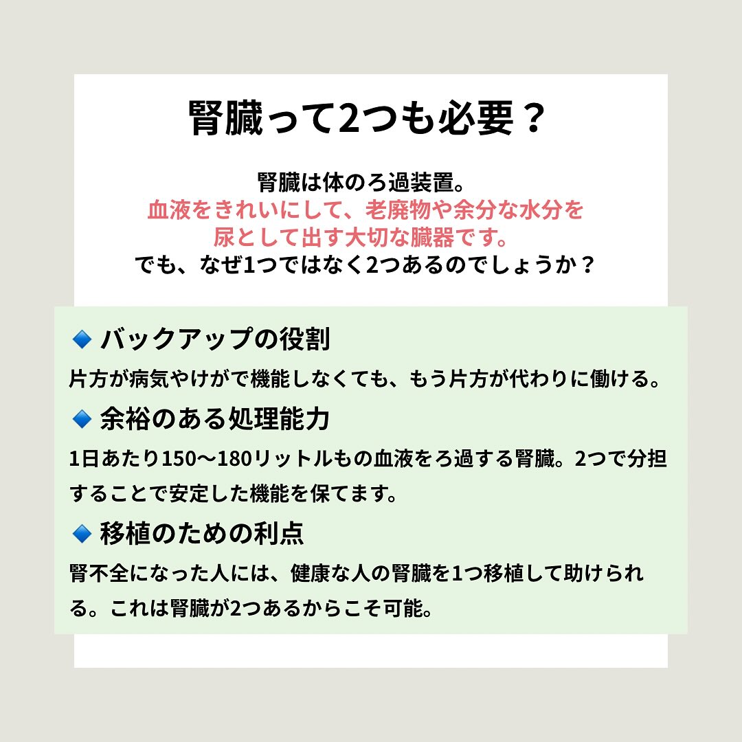 腎臓 2 つ なぜ