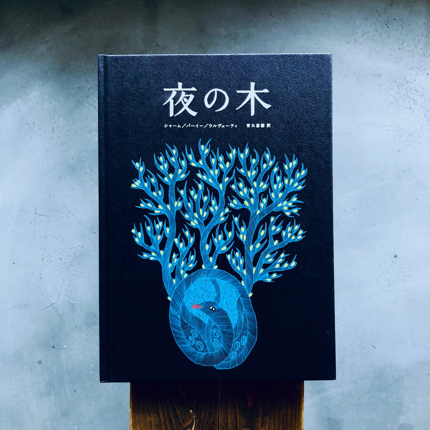 Enjoy the scent of paper and ink and the vibrant colors. 南インド