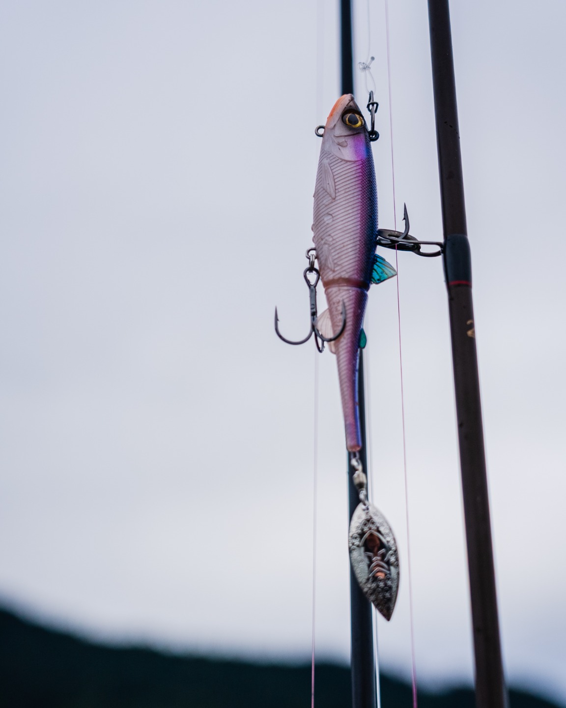 bubble gum colored fishing lure Trout Worms: Size:#5 Long topwaterlures All Saltwater Species Vintage Boasting a soft and