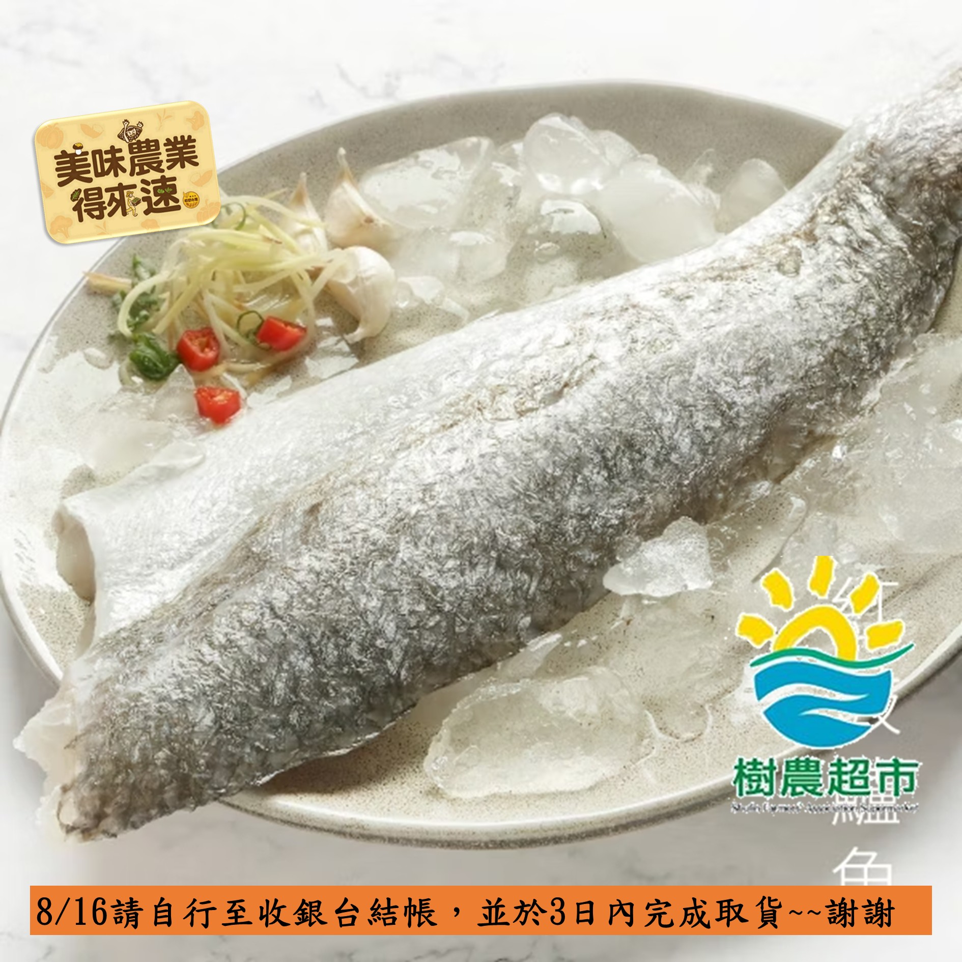 餐館紅鼓魚可遇不可求😍 難得好物秒殺頂級深海好魚吃起來口感猶如龍蝦