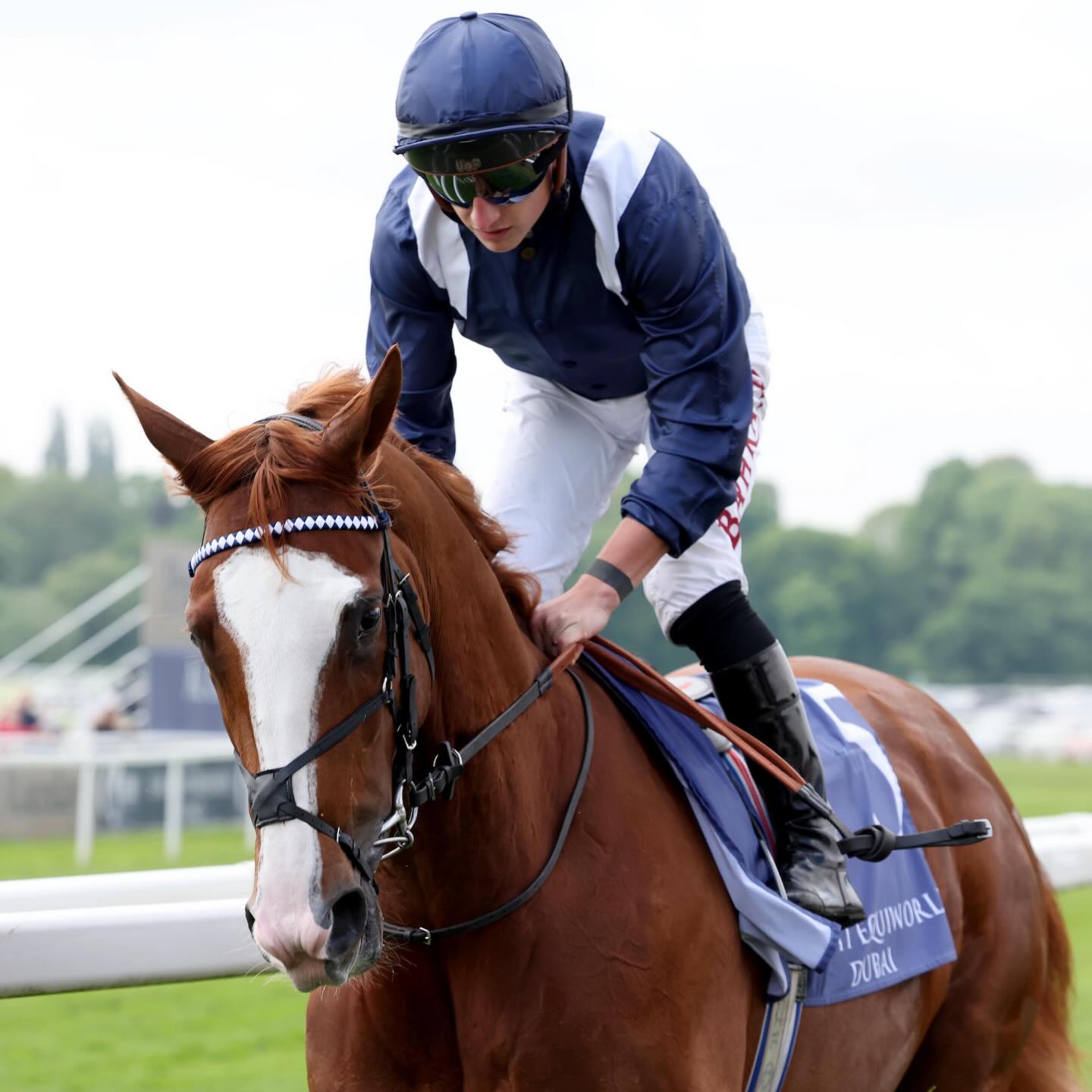 Racing TV - “It was a privilege to train such a... | Facebook