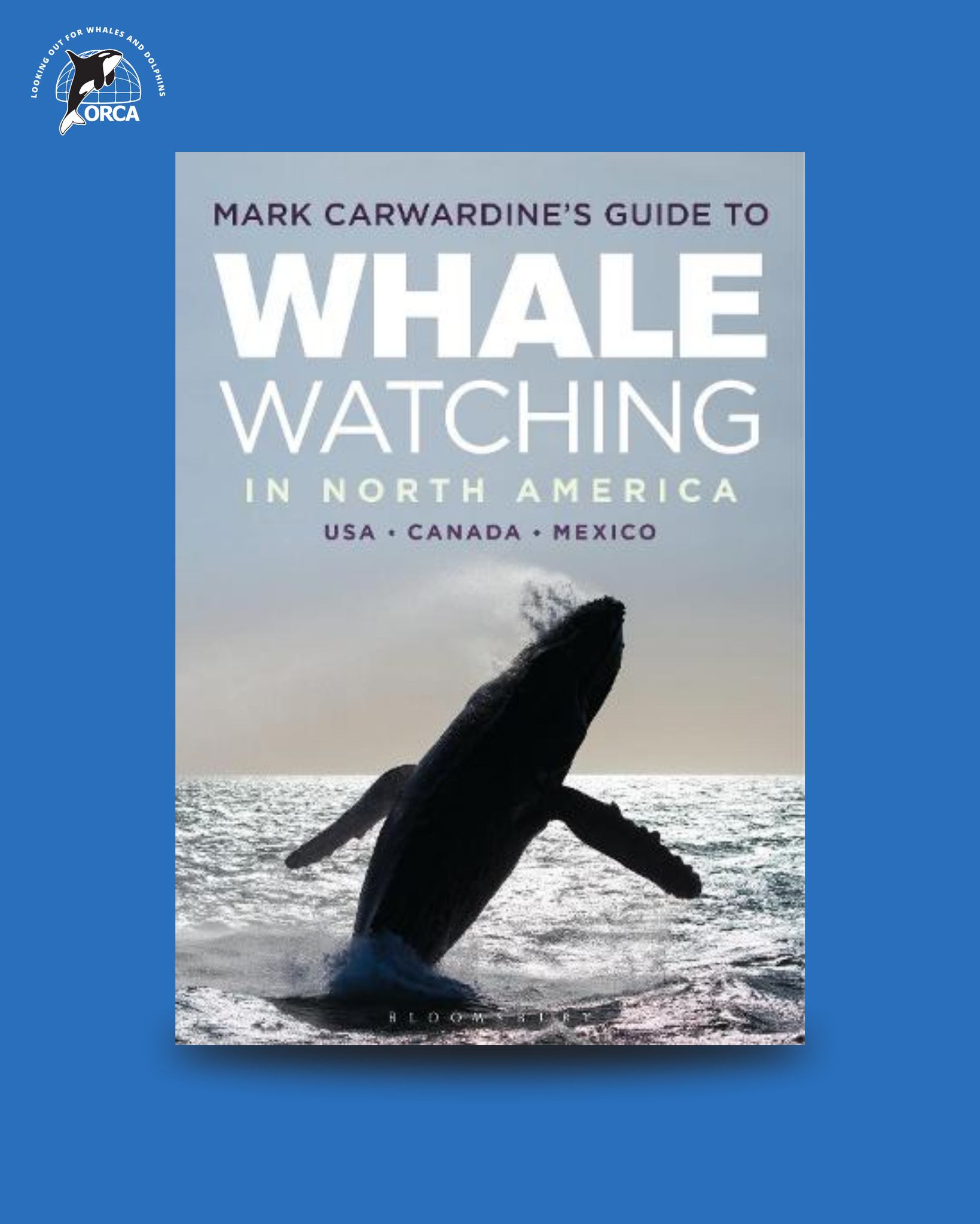 ORCA - Written by ORCA patron and renowned wildlife expert Mark ...