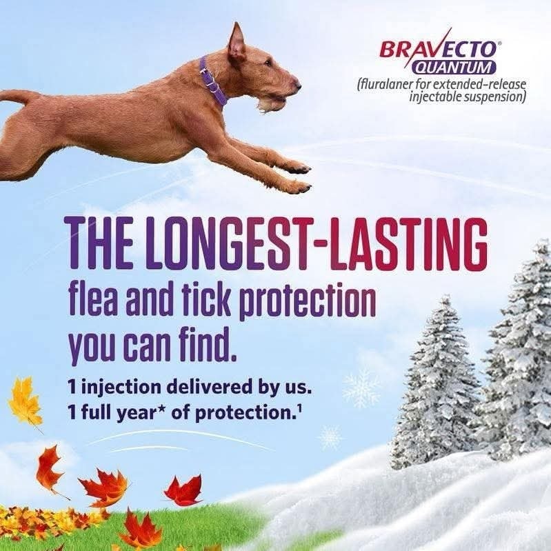 CreekWood - 🐾 We're excited to now offer BRAVECTO® QUANTUM — The Next ...