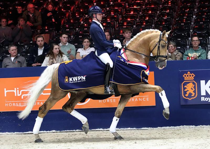 What a great last minute addition to our 2026 Stallion Service