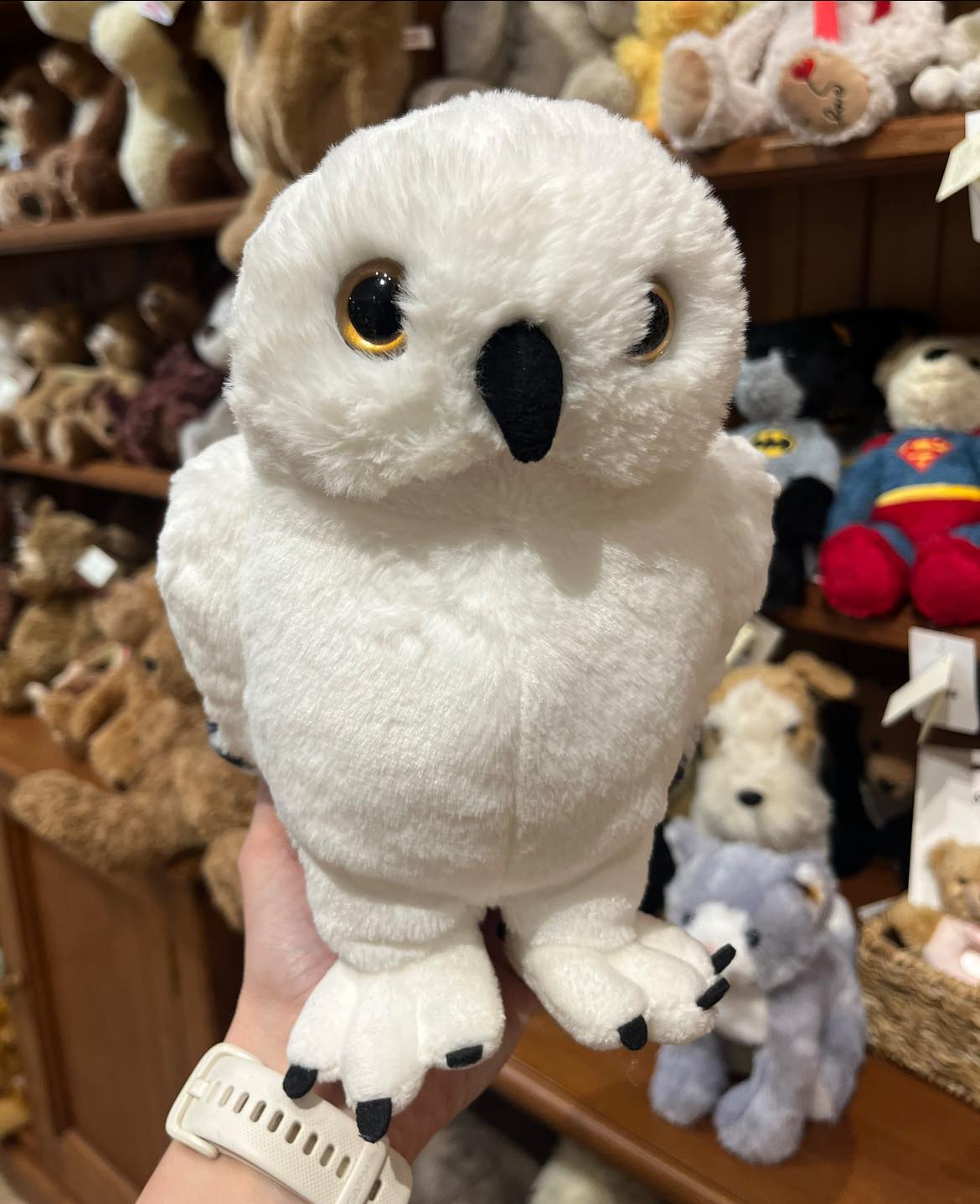 New release. Steiff x Harry Potter 🪄 . We have been waiting very