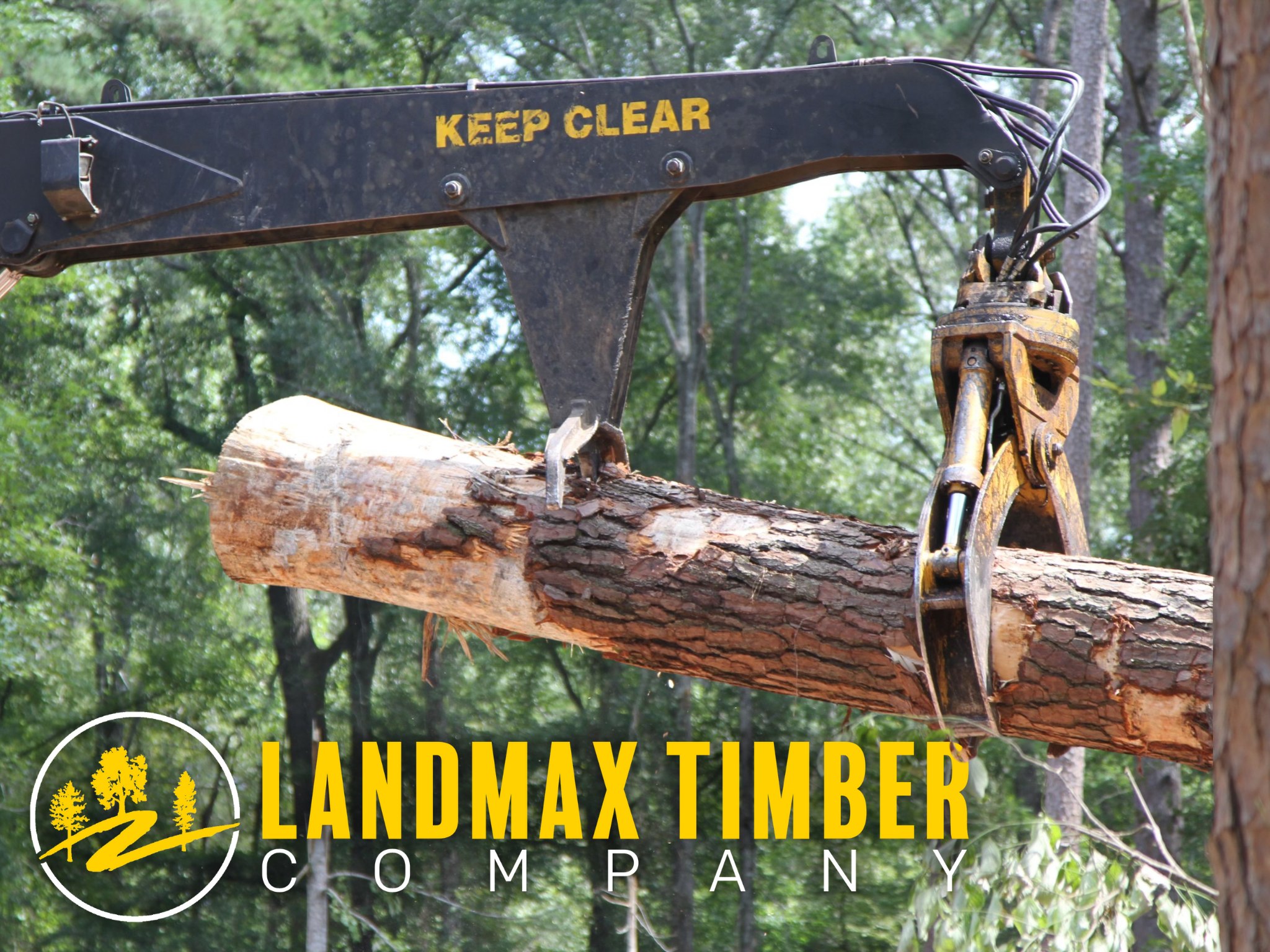 LandMAX Timber Company, INC. | Brookhaven MS