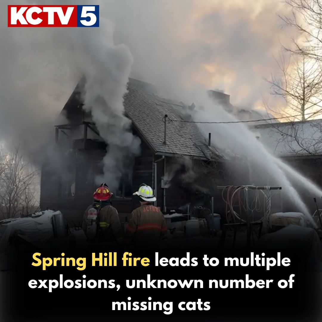 KCTV5 - Multiple cats remain missing after a Spring Hill house fire led ...