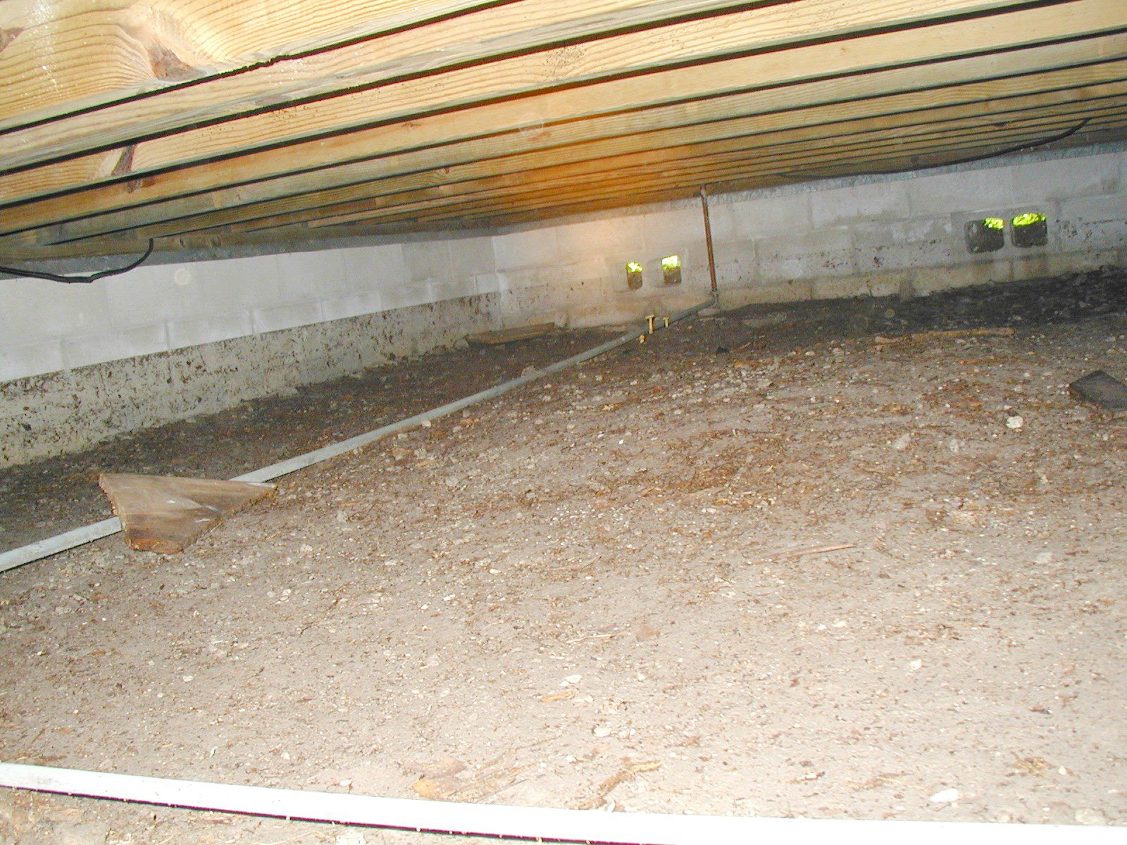 Inspection Connection | Tampa FL