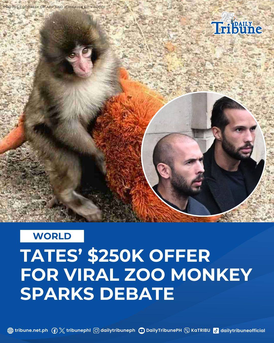 Daily Tribune - A VIRAL MONKEY. A $250,000 OFFER. A GLOBAL... | Facebook