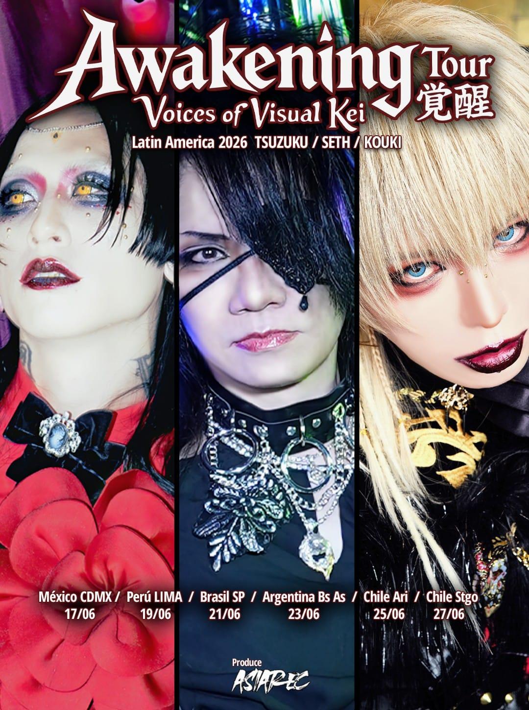 Visual Kei Team