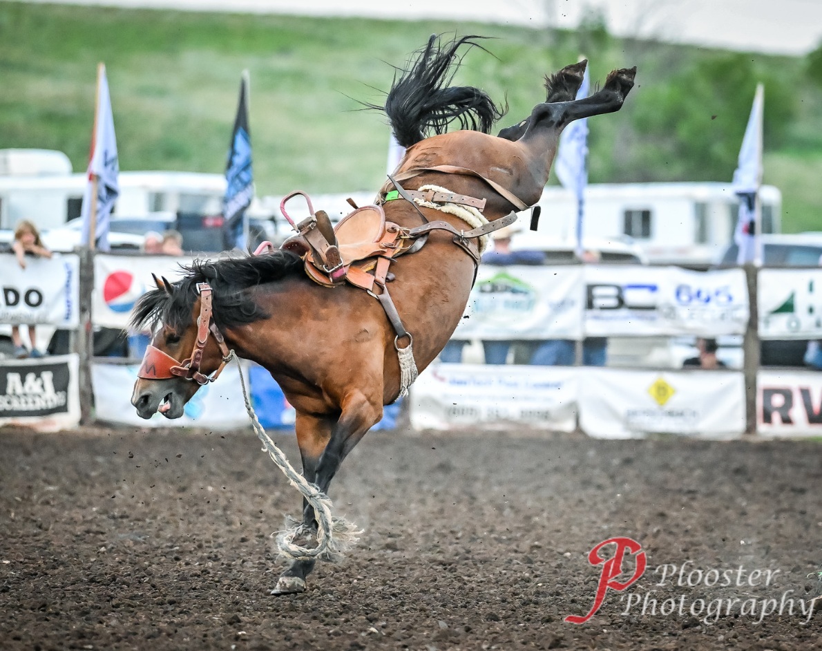 Wild West Wednesdays / Hart Ranch Rodeo Series | Rapid City SD