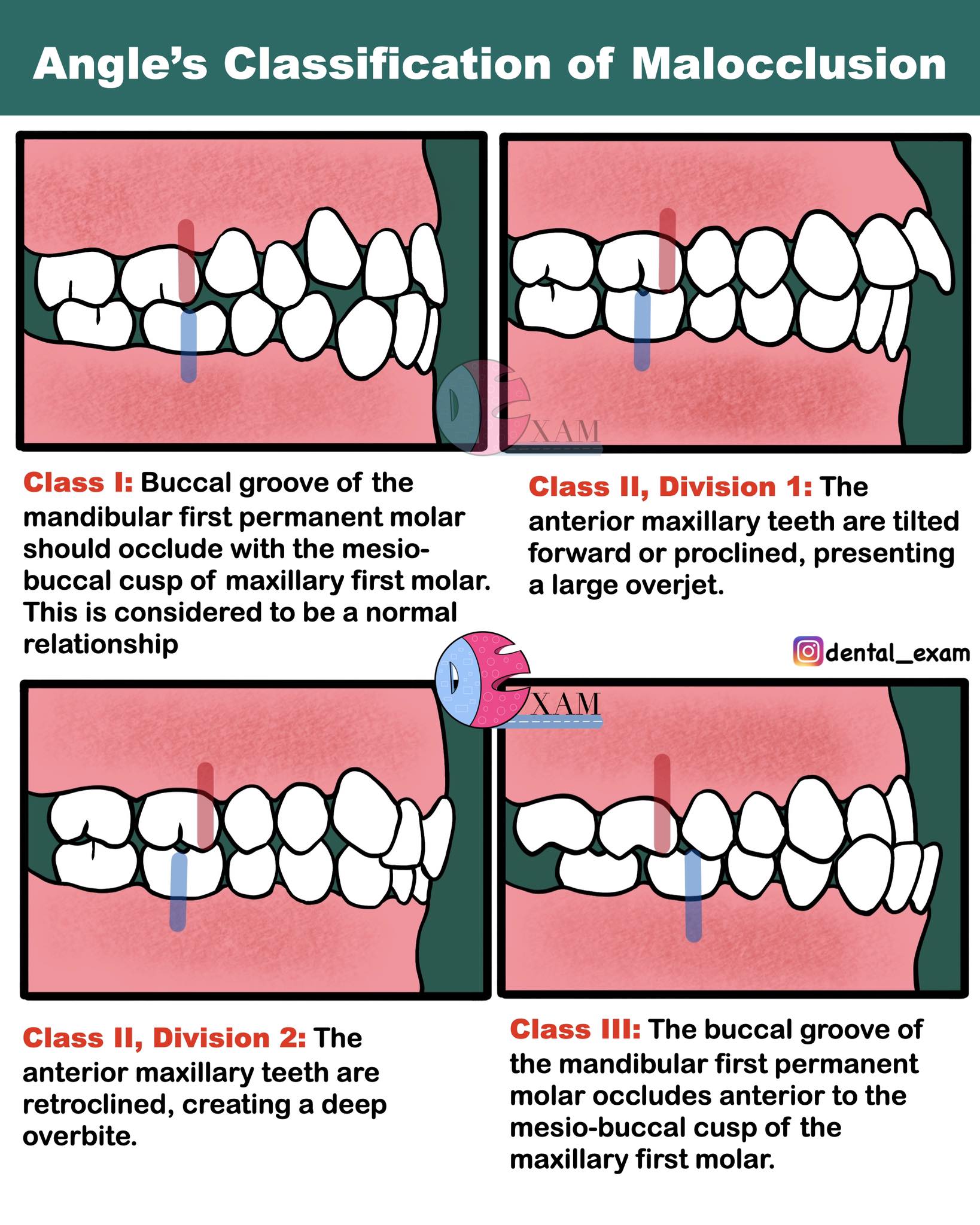Dental Exam - Dental Exam added a new photo.
