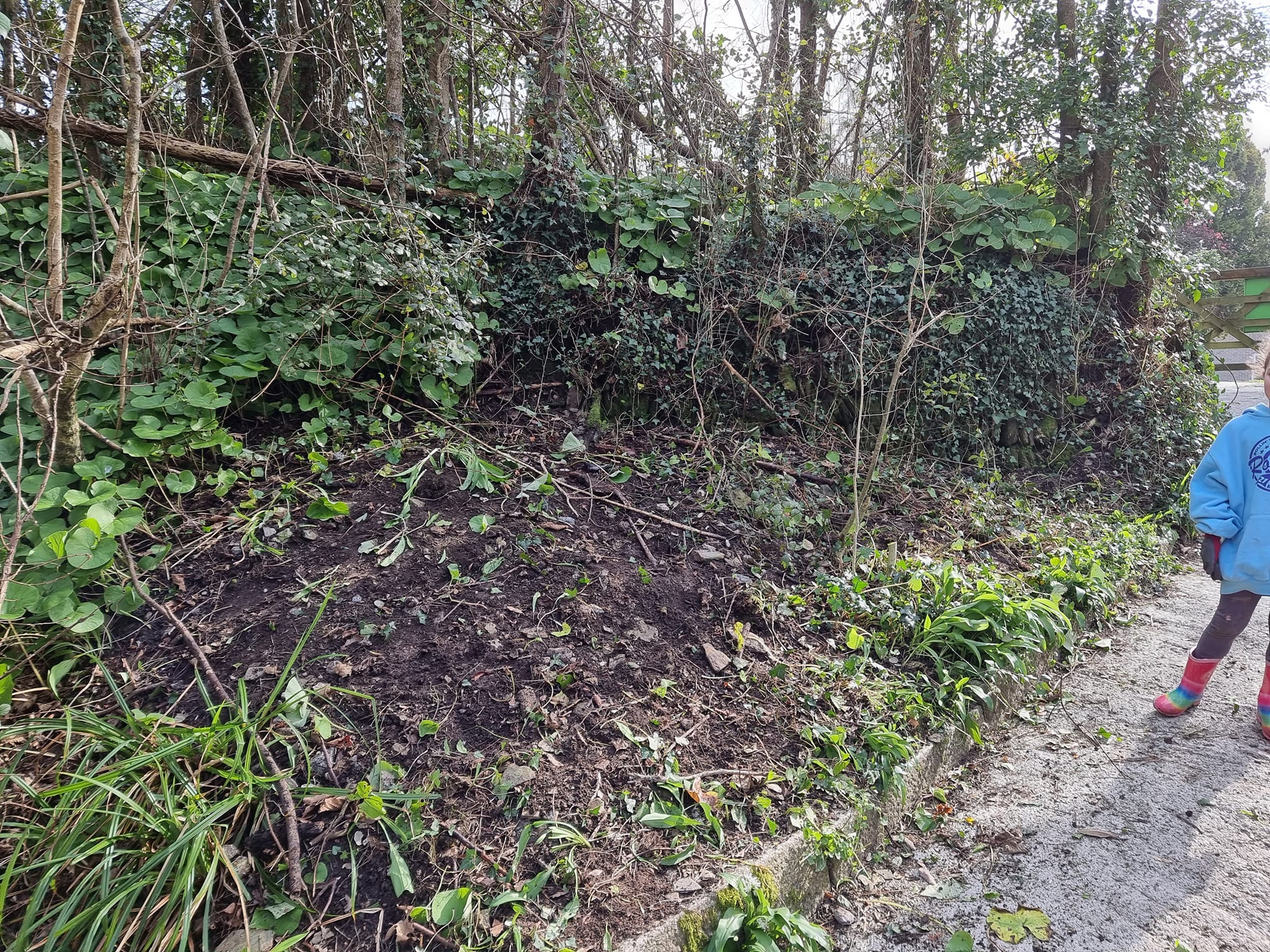 Truro's Countryside Rangers... - Truro's Countryside Rangers