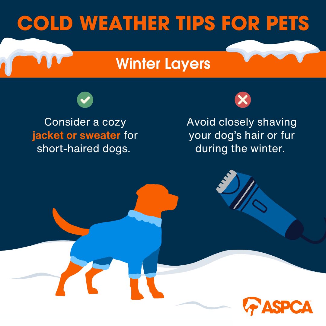 Foxcroft Veterinary... - Foxcroft Veterinary Services, PA