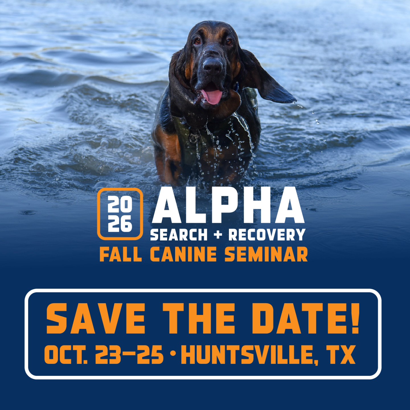 Alpha Search And Recovery | Houston TX
