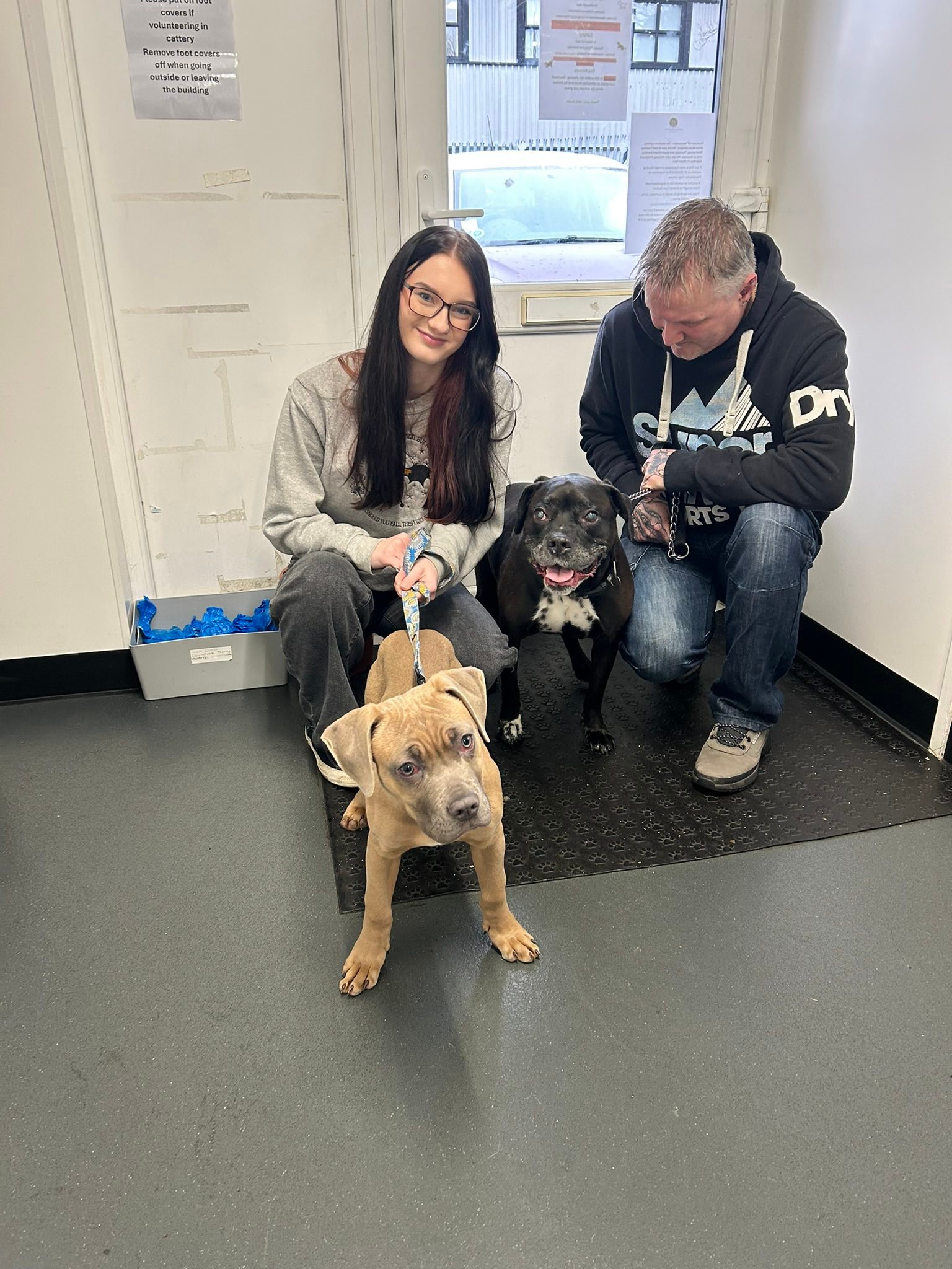 Bolton Destitute Animal... - Bolton Destitute Animal Shelter
