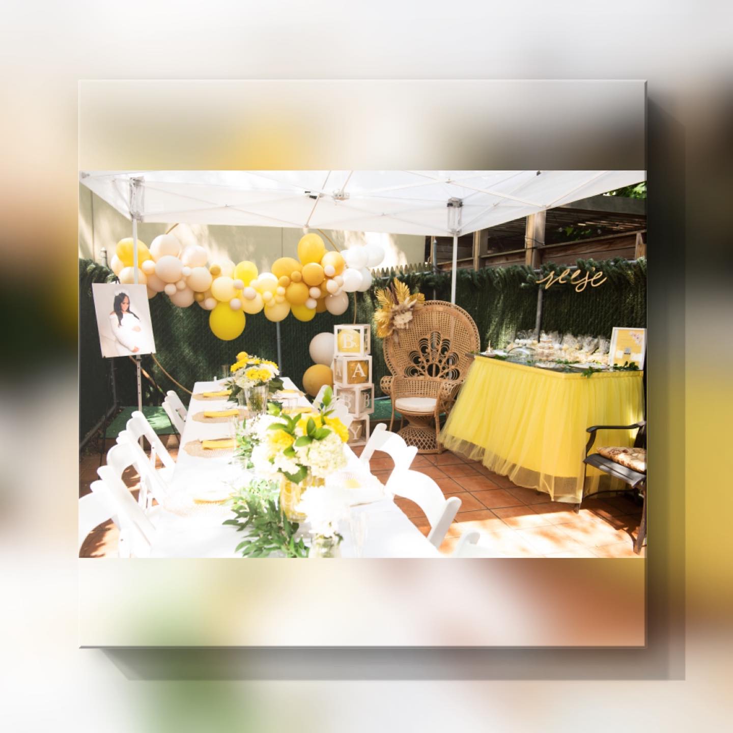 The DC Event Co. | Hyattsville MD