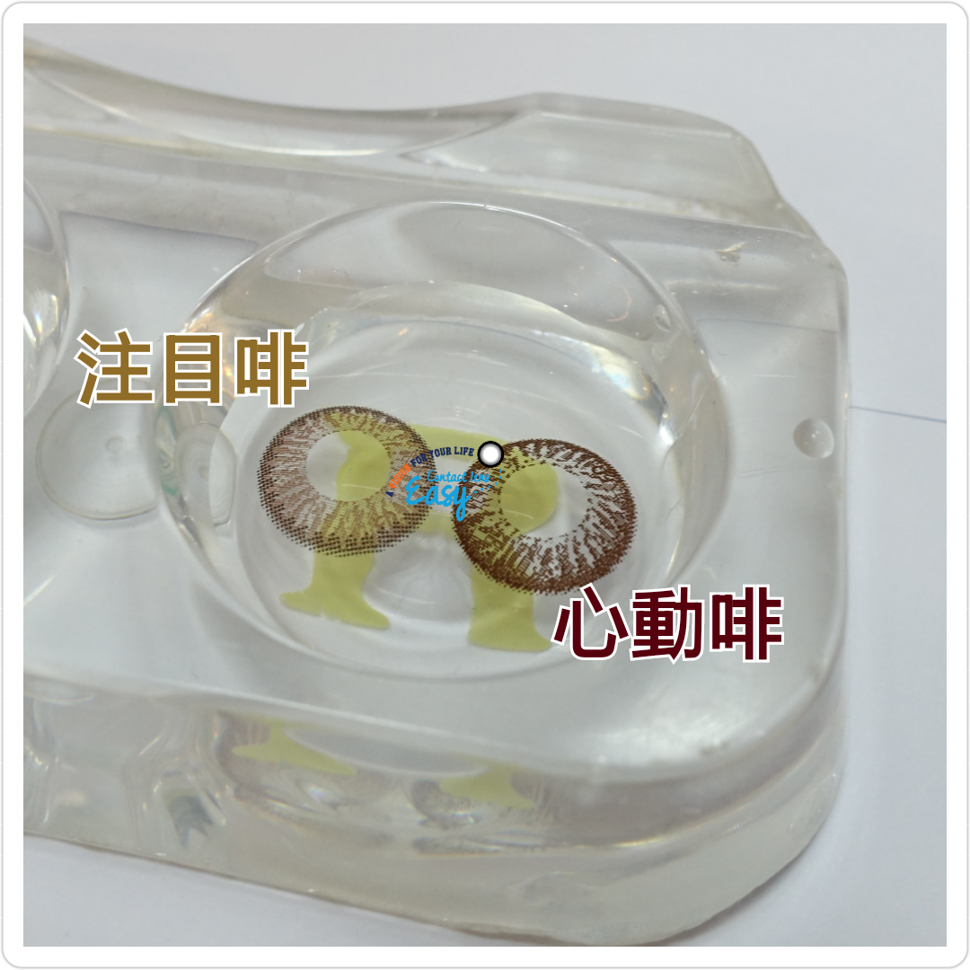 Contact Lens Easy 依時隱形眼鏡 Freshkon 最新 心動啡 1day 同月con都出左啦 經常有客人問我地有咩分別 今日影比 大定睇睇啦 最新 心動啡 比之 注目啡 更深色 與雙眼更接近 令雙眼更大更自然