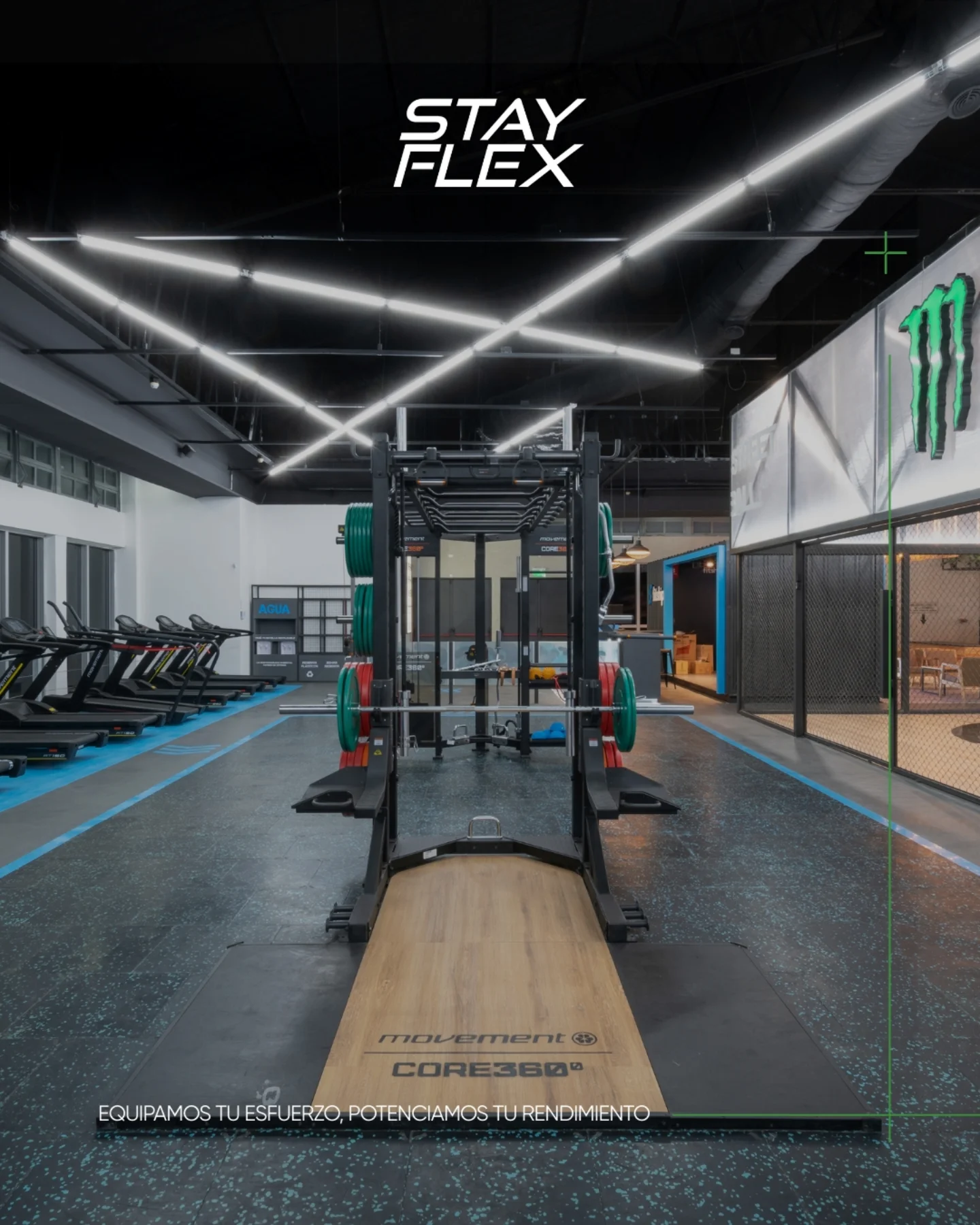 Stay - Entrenar es más que mover peso, es transformar tu energía. En ...
