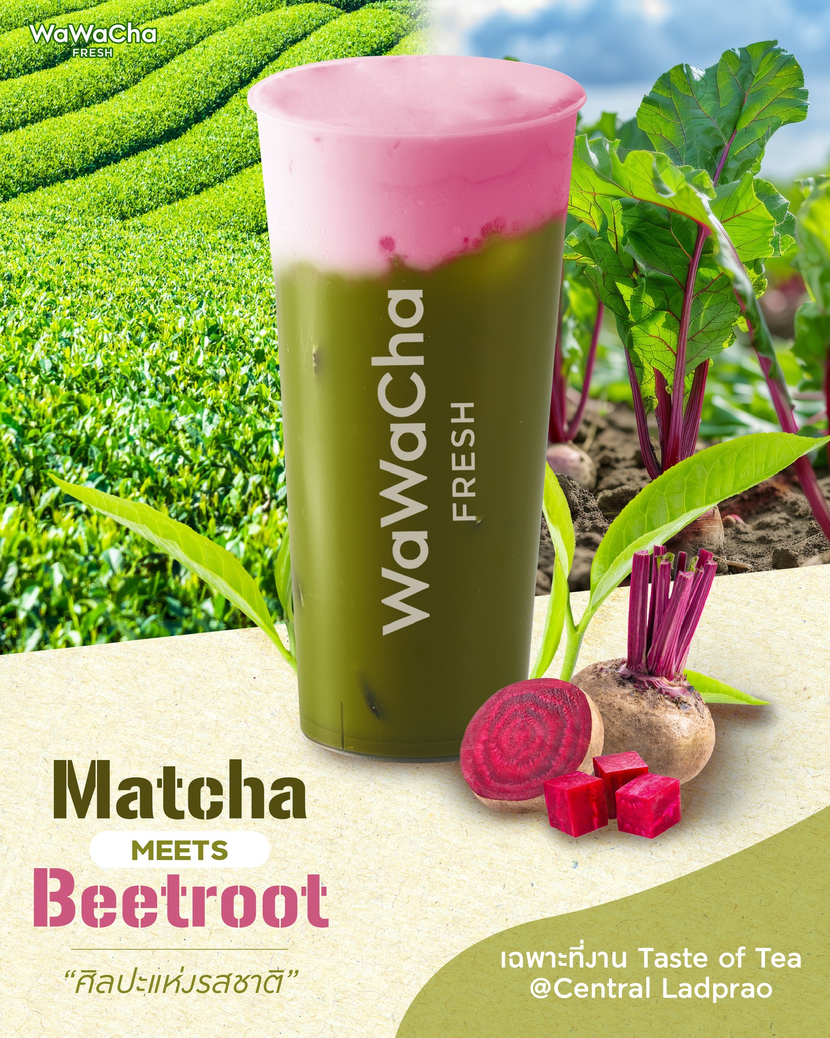 Wawa - 🌿💗 วันสุดท้ายแล้ว! ปิดฉาก Taste of Tea 2025 ที่เซ็นทรัลลาดพร้าว ...