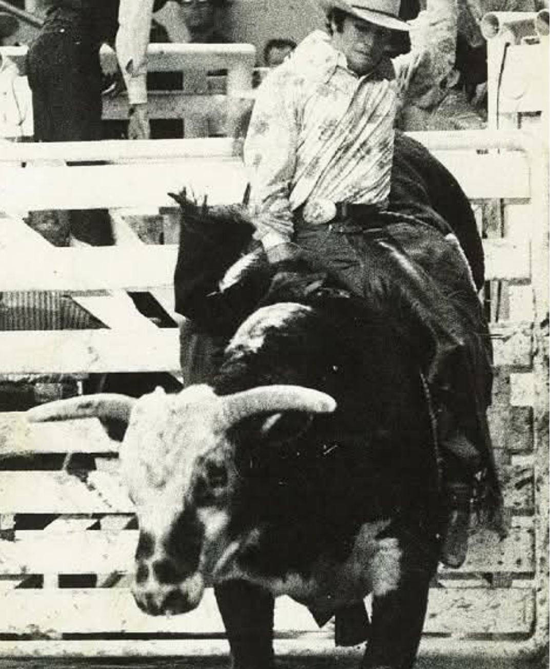 Paixão - Denny Flynn, the most decorated bull rider from Arkansas, made ...
