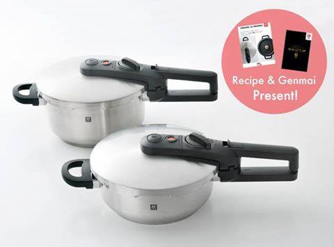 ツヴィリング エコクイックⅡ 圧力鍋 22cm 4ℓ 新品未使用 4ℓ エコクイックⅡ ツヴィリング 圧力鍋 22cm 新品未使用