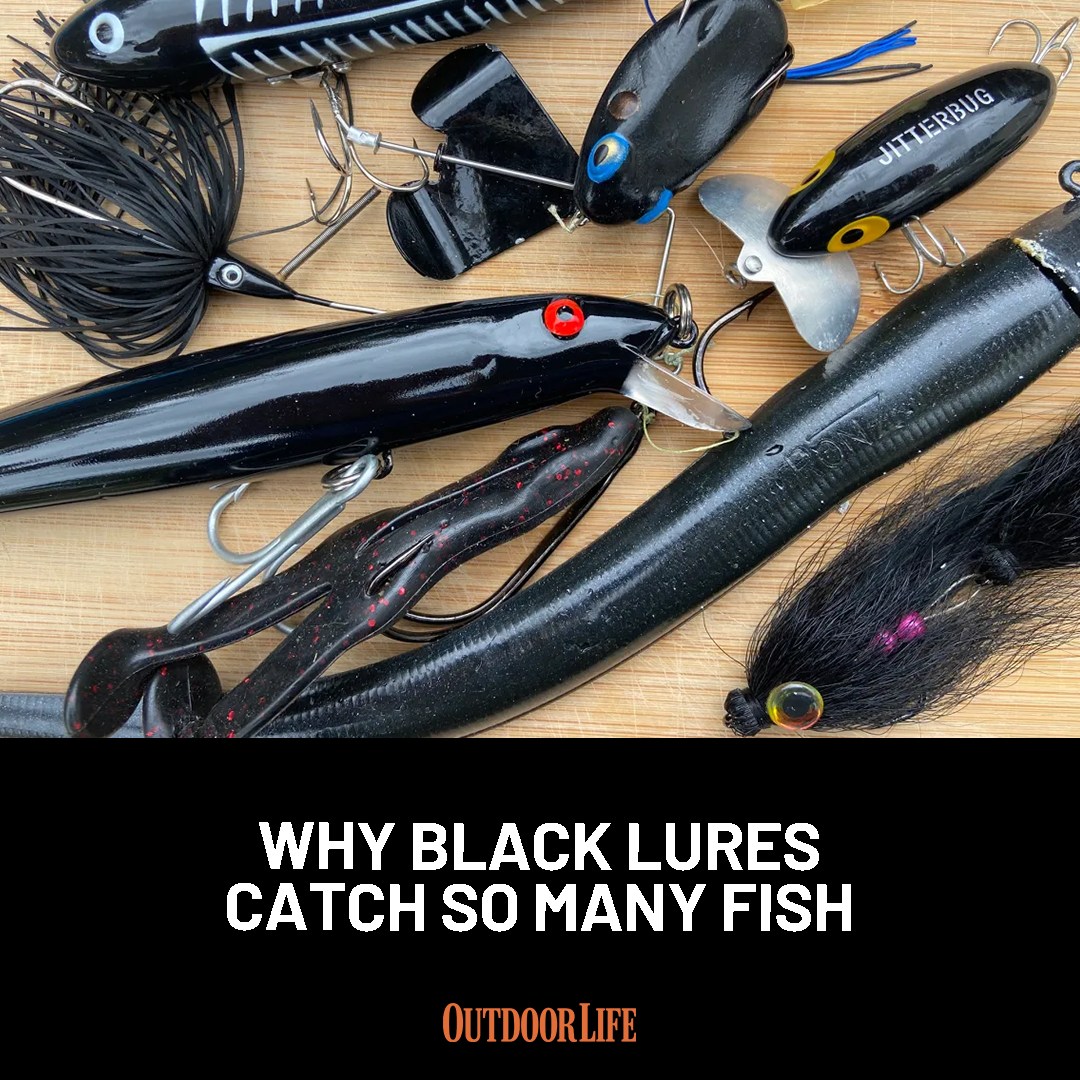 best black bass lures 5 Top at Amazon Bringing Back Black - In-Fisherman