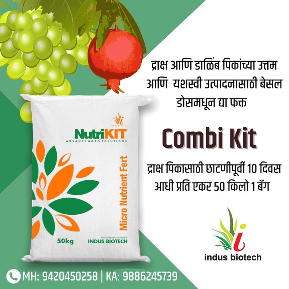 Indus Biotech Fertilizer Company | Sangli
