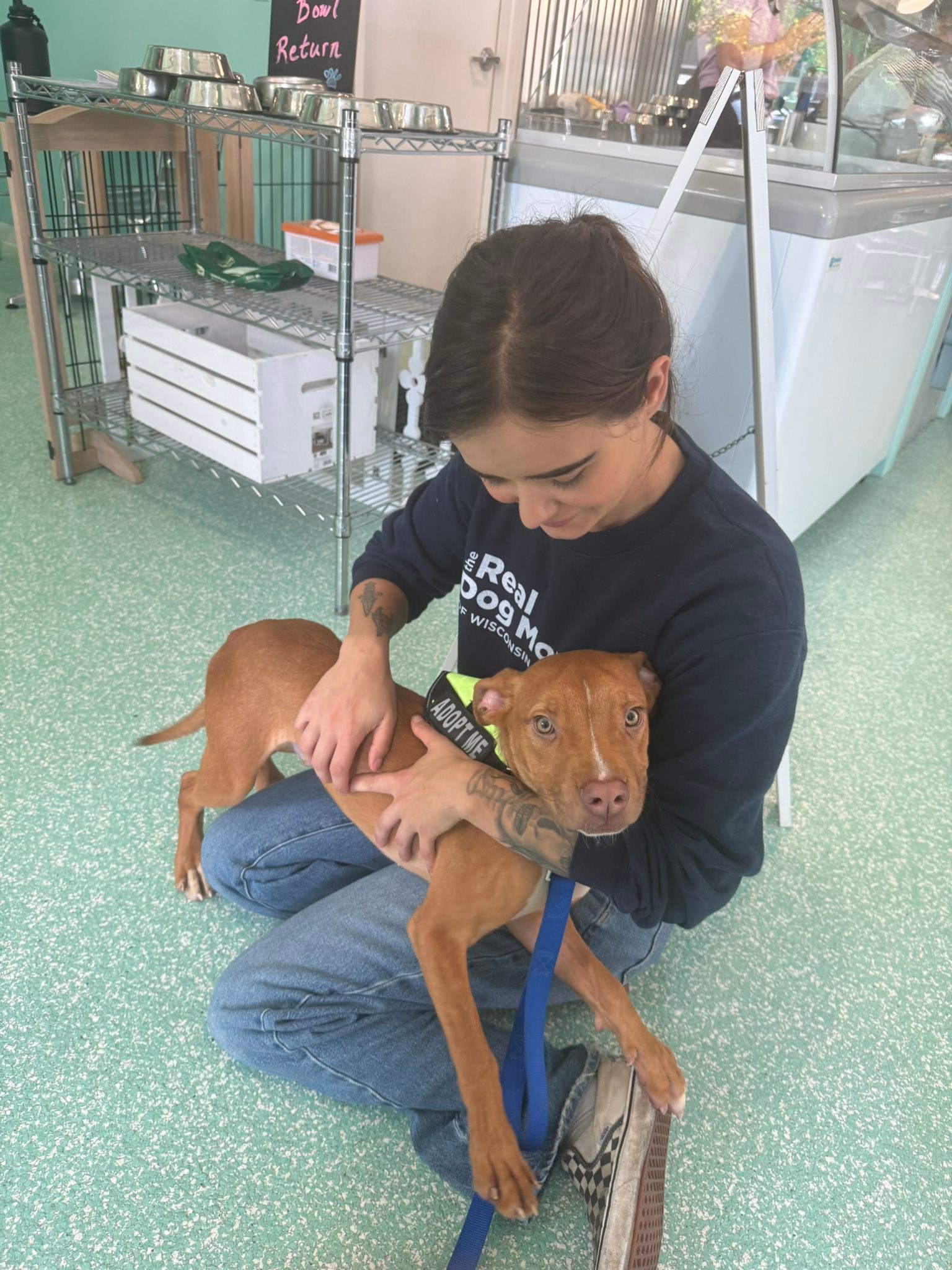 Adoption hours are Monday-Friday 11am-6pm and Saturday-Sunday 11am-4pm ...