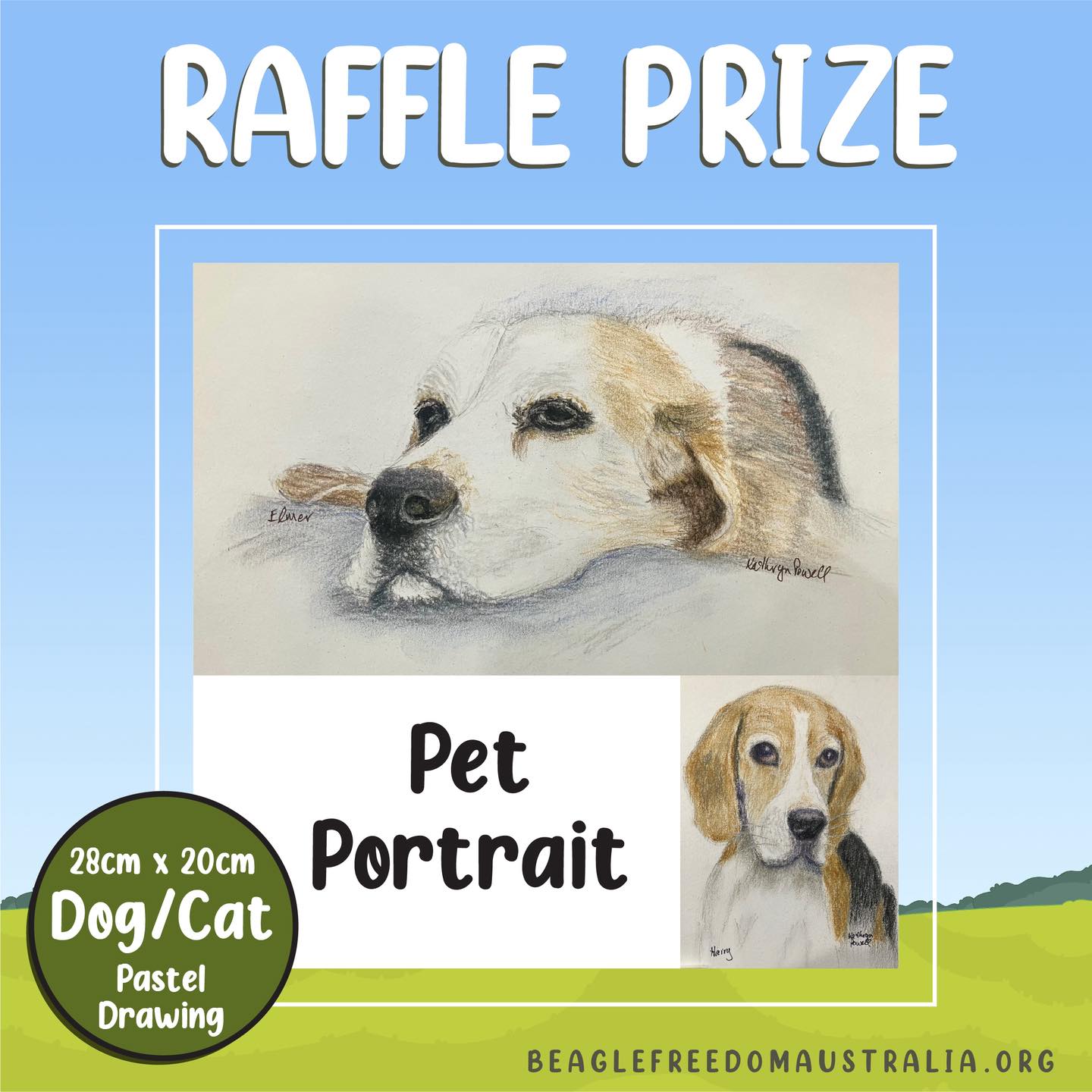 Beagle Rescue Victoria Inc.... - Beagle Rescue Victoria Inc.
