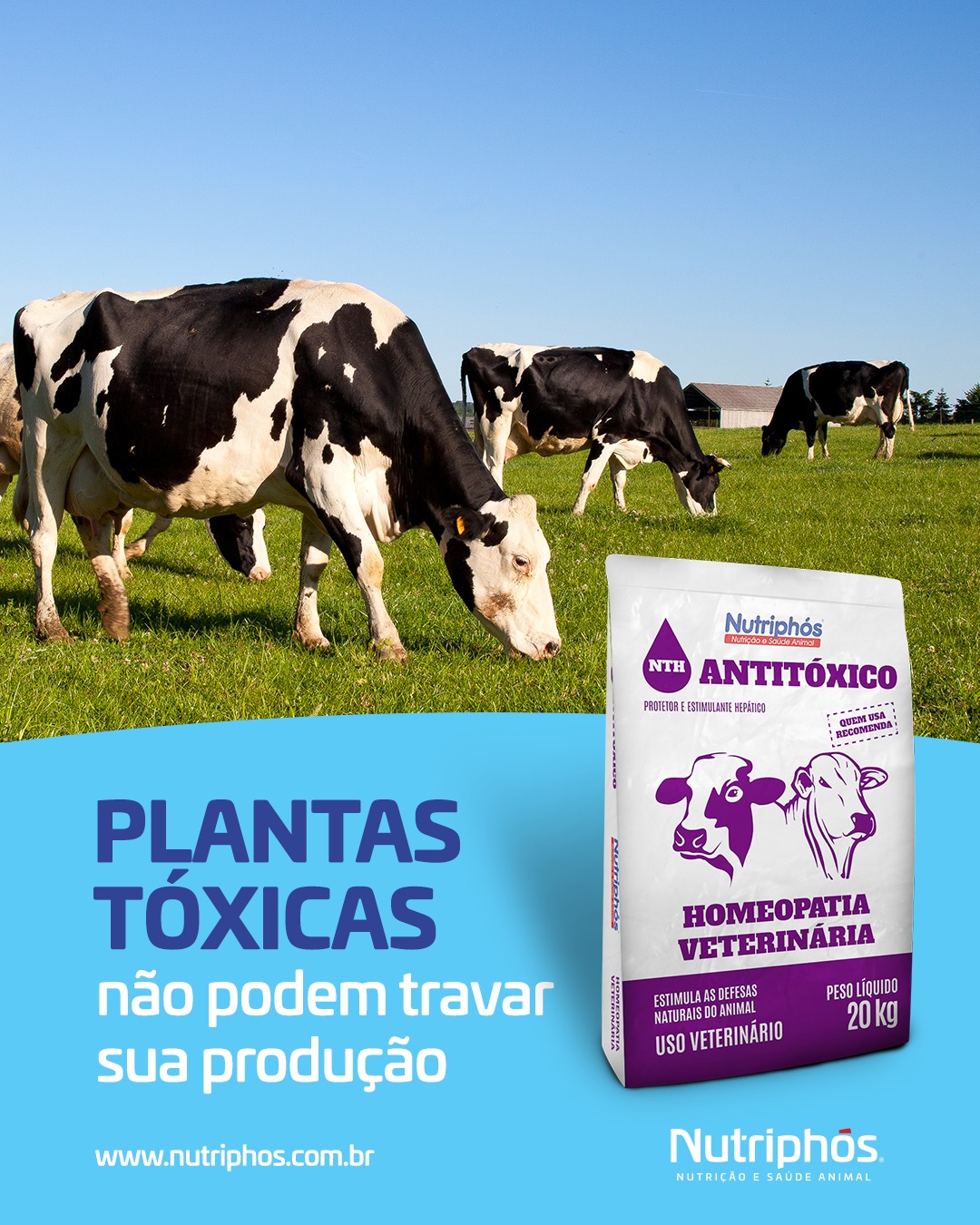 Nutriphós - Nutrição E Saúde Animal