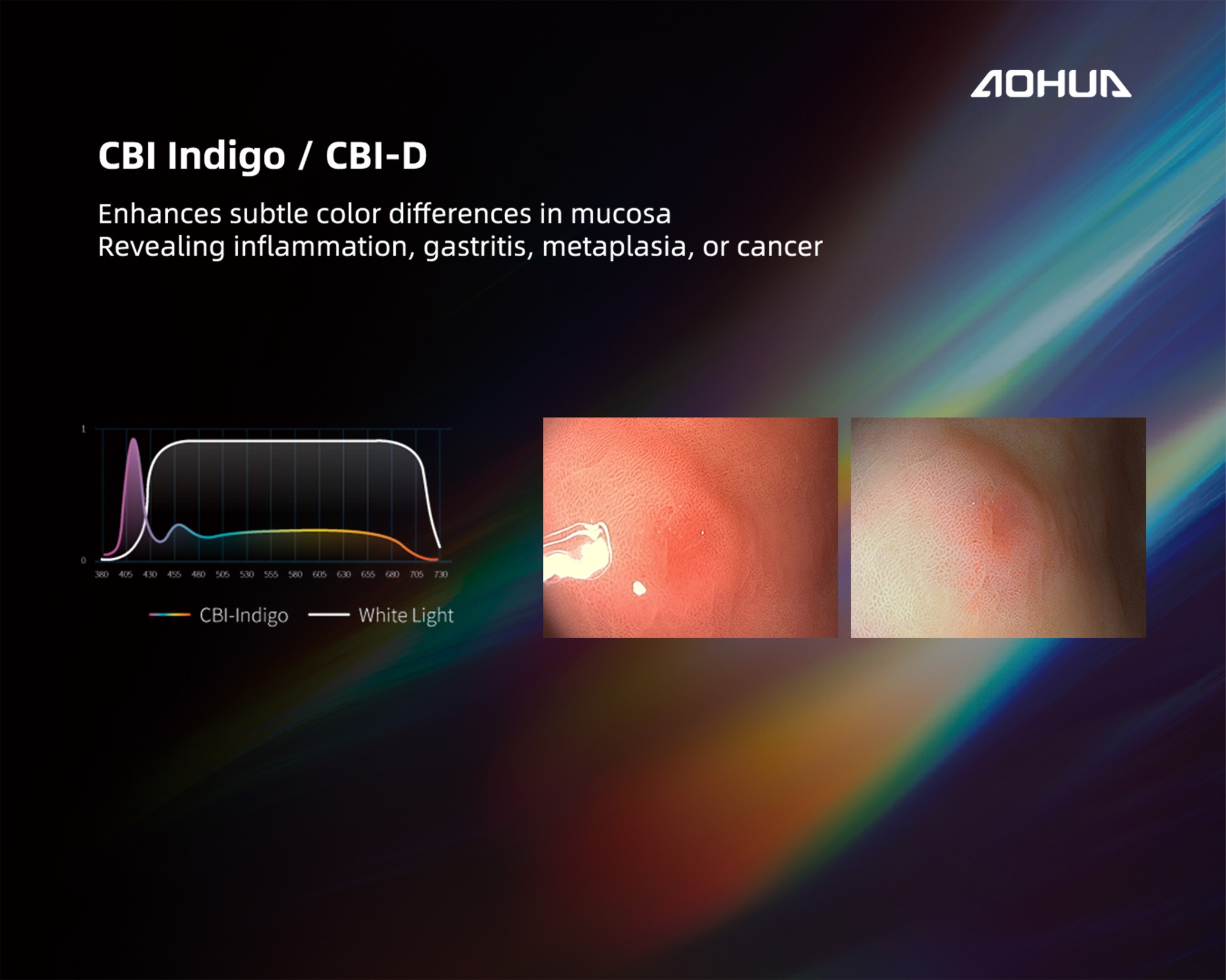 White light not enough? 👉... - Aohua Veterinary Endoscopy | Facebook