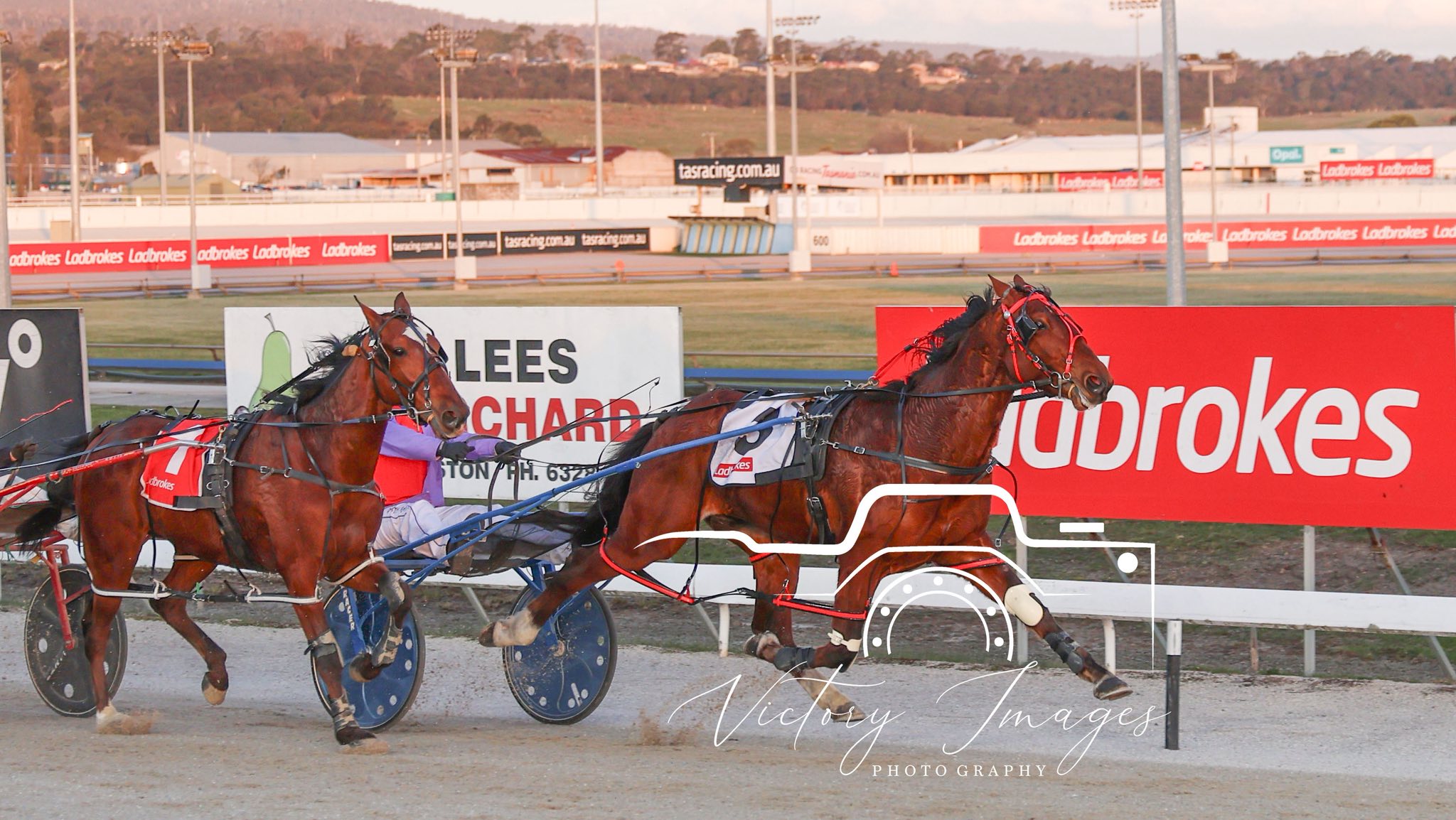 Race 2 - THE BOTTLE-O HADSPEN... - Launceston Pacing Club | Facebook