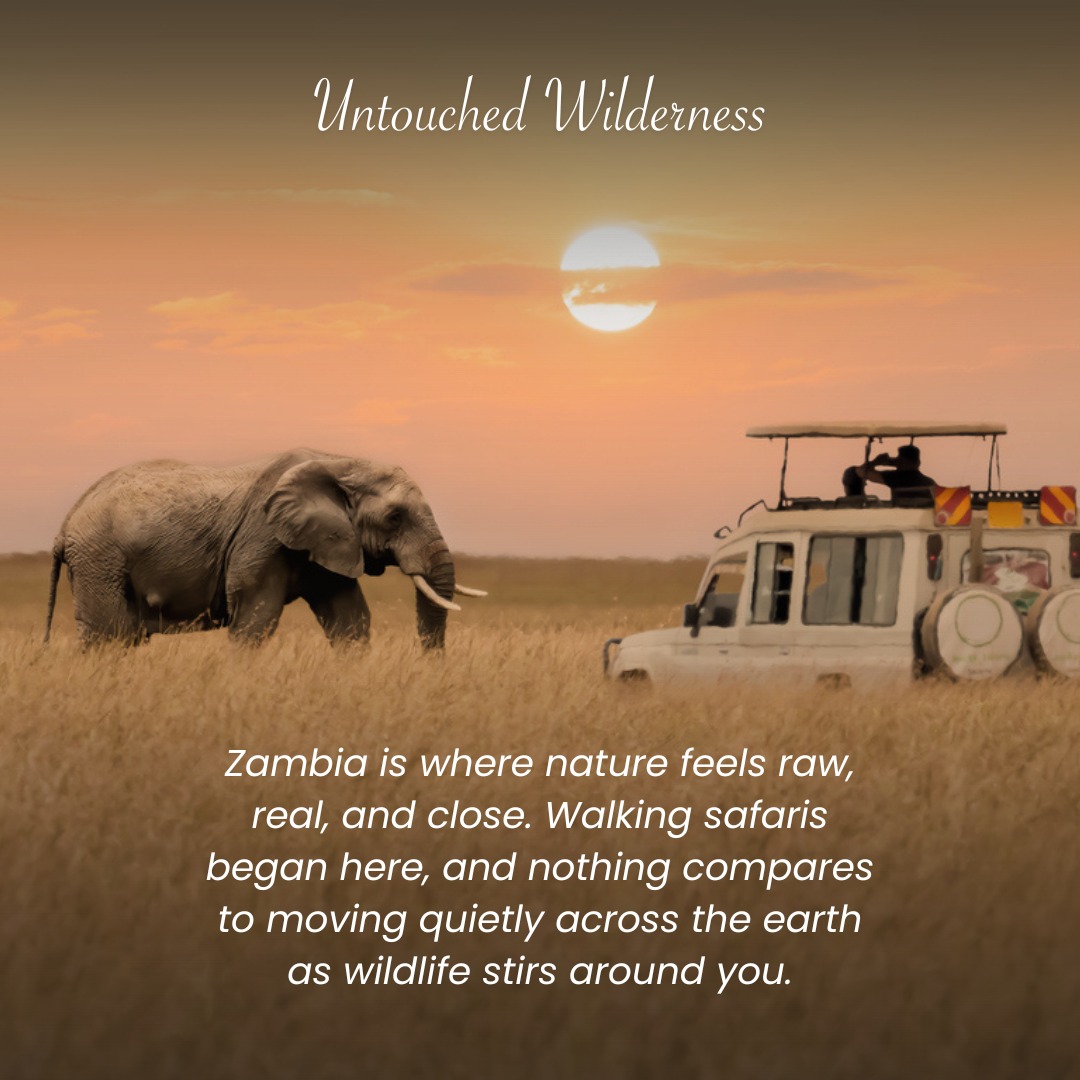 Ntanda Ventures -... - Ntanda Ventures - Safaris in Zambia