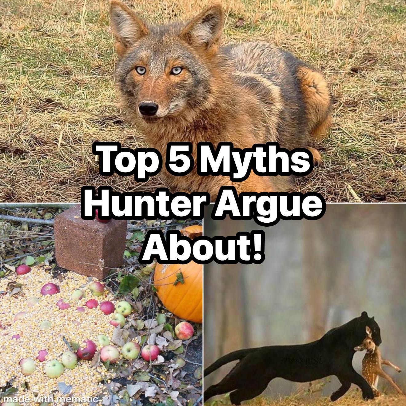 The Sportsmen - Bring up any one of these topics in a hunting group and ...