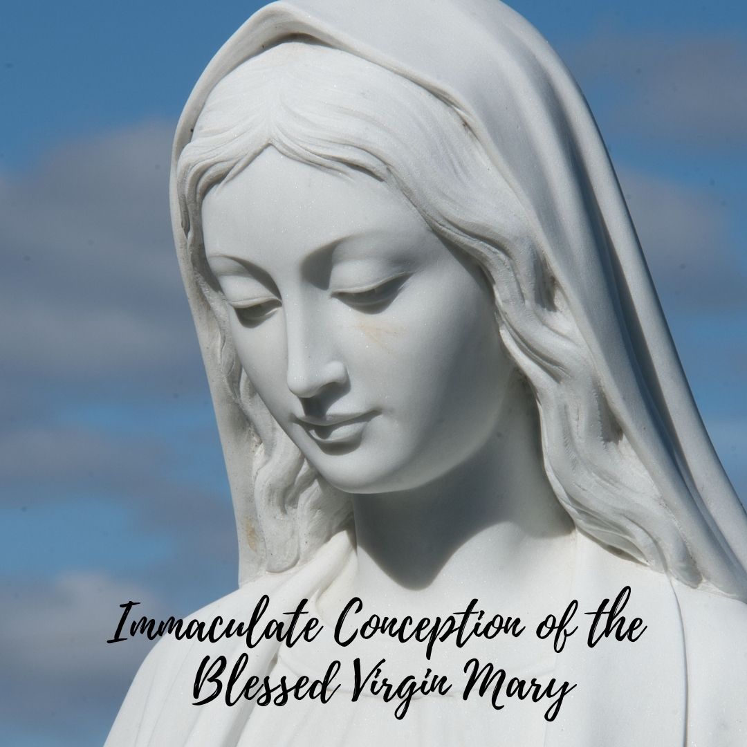 St. - Today, we celebrate the Solemnity of the Immaculate Conception of ...