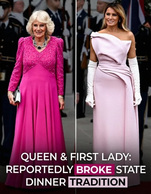 first lady pink dress Melania Trump wears pale at State Dinner with King Charles III and Queen Camilla Traditional Pakistani wedding dresses