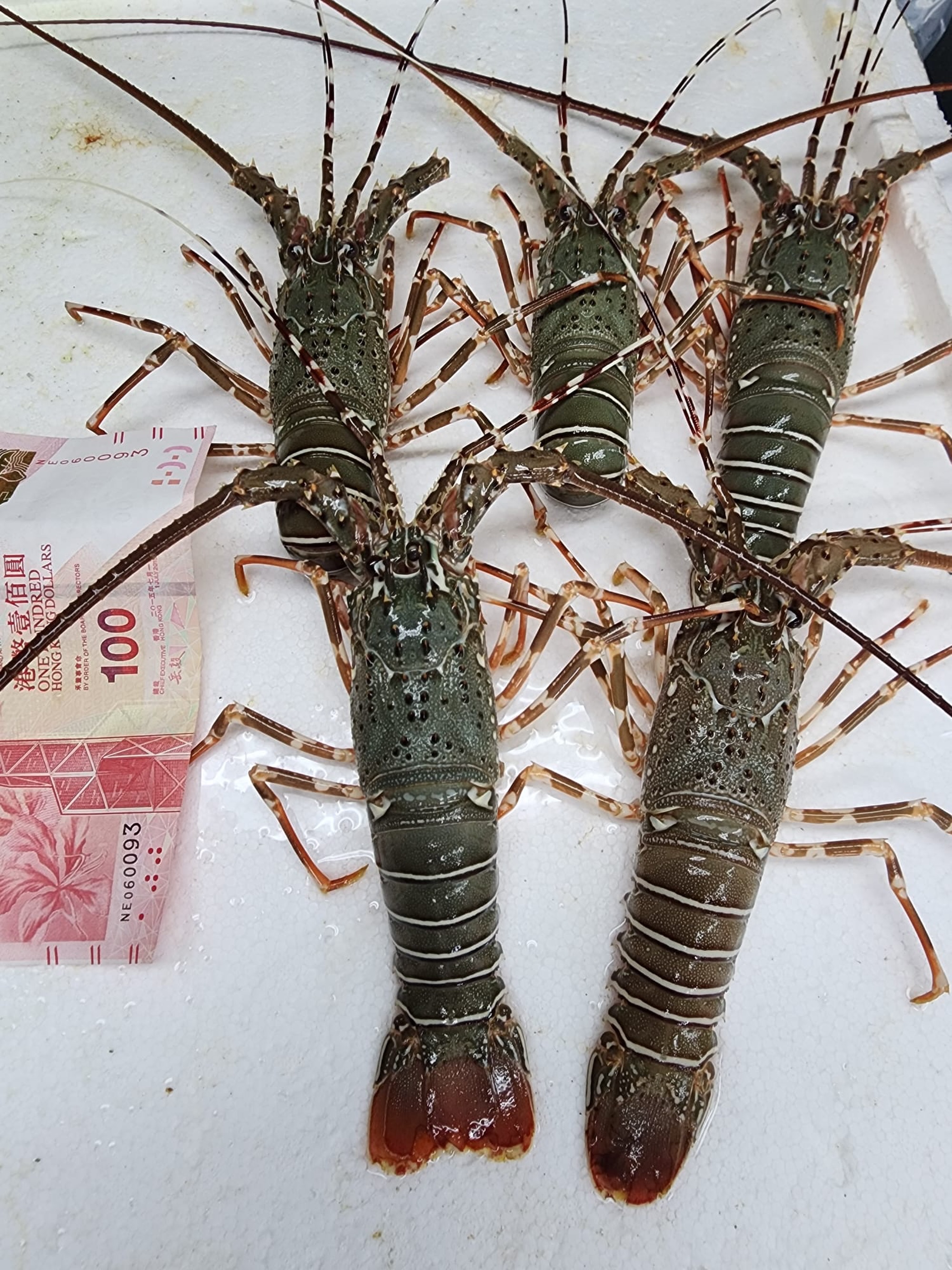 📢長腳蟹餐📢 星期日(7月22號）🌹長腳蟹套餐~$77O/份🌹 1）生猛紅長腳