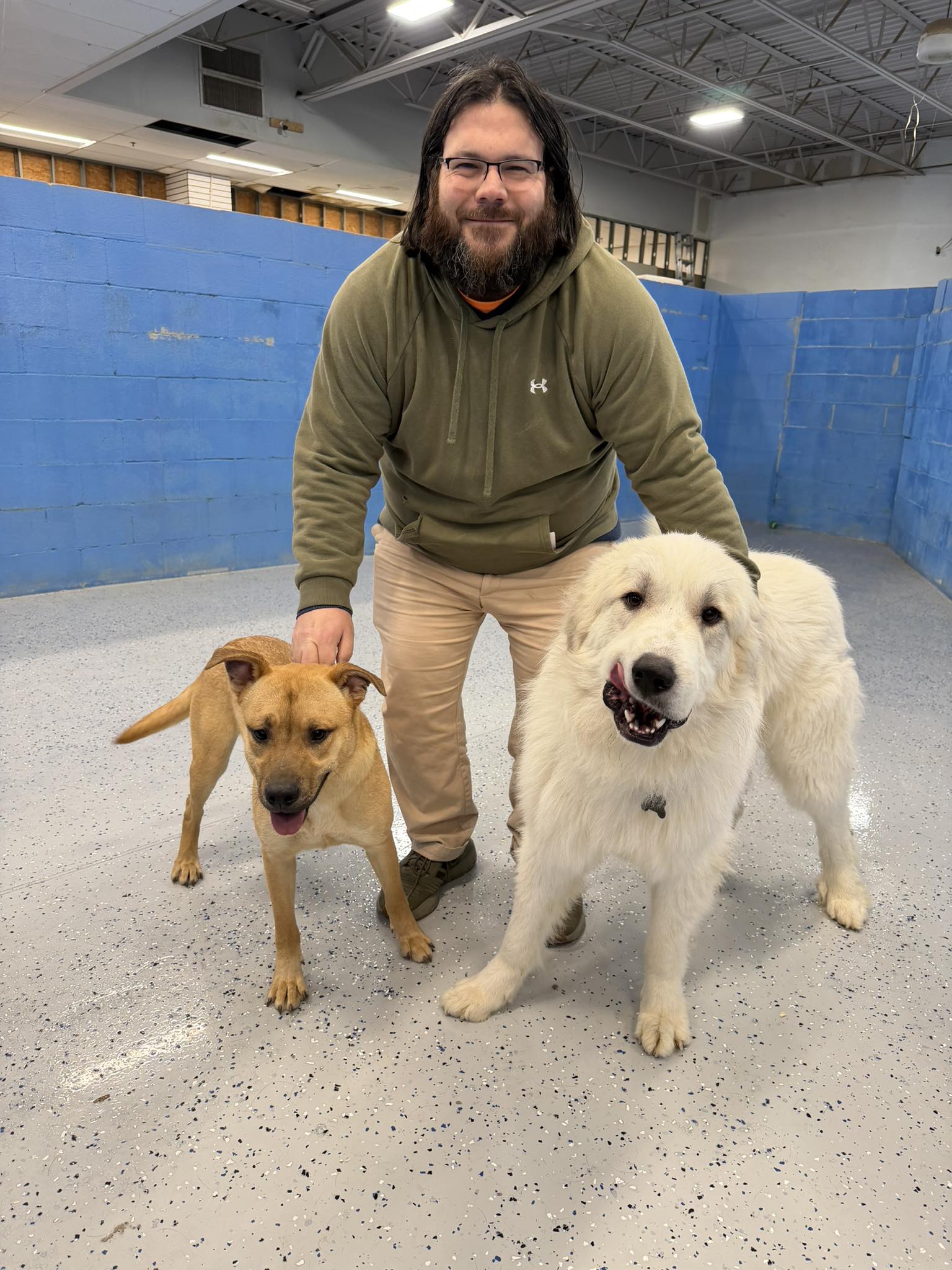 UPDATE - The Boys... - Save all Dogs Rescue 501C3 Non Profit | Facebook