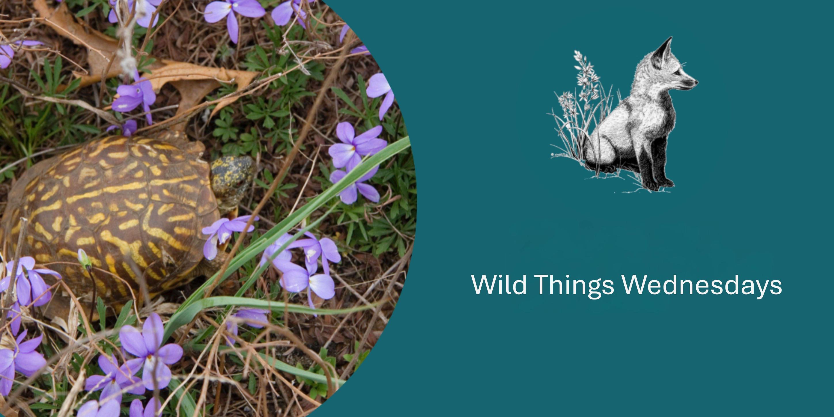Wild Things (@wildthingscommunity) • Facebook