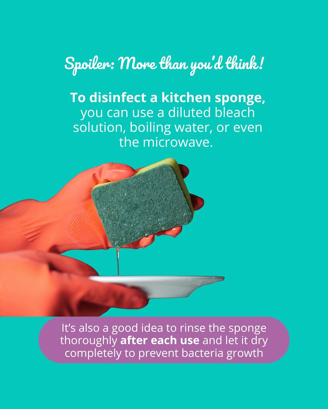 How to Disinfect Kitchen Sponge: Ultimate Guide