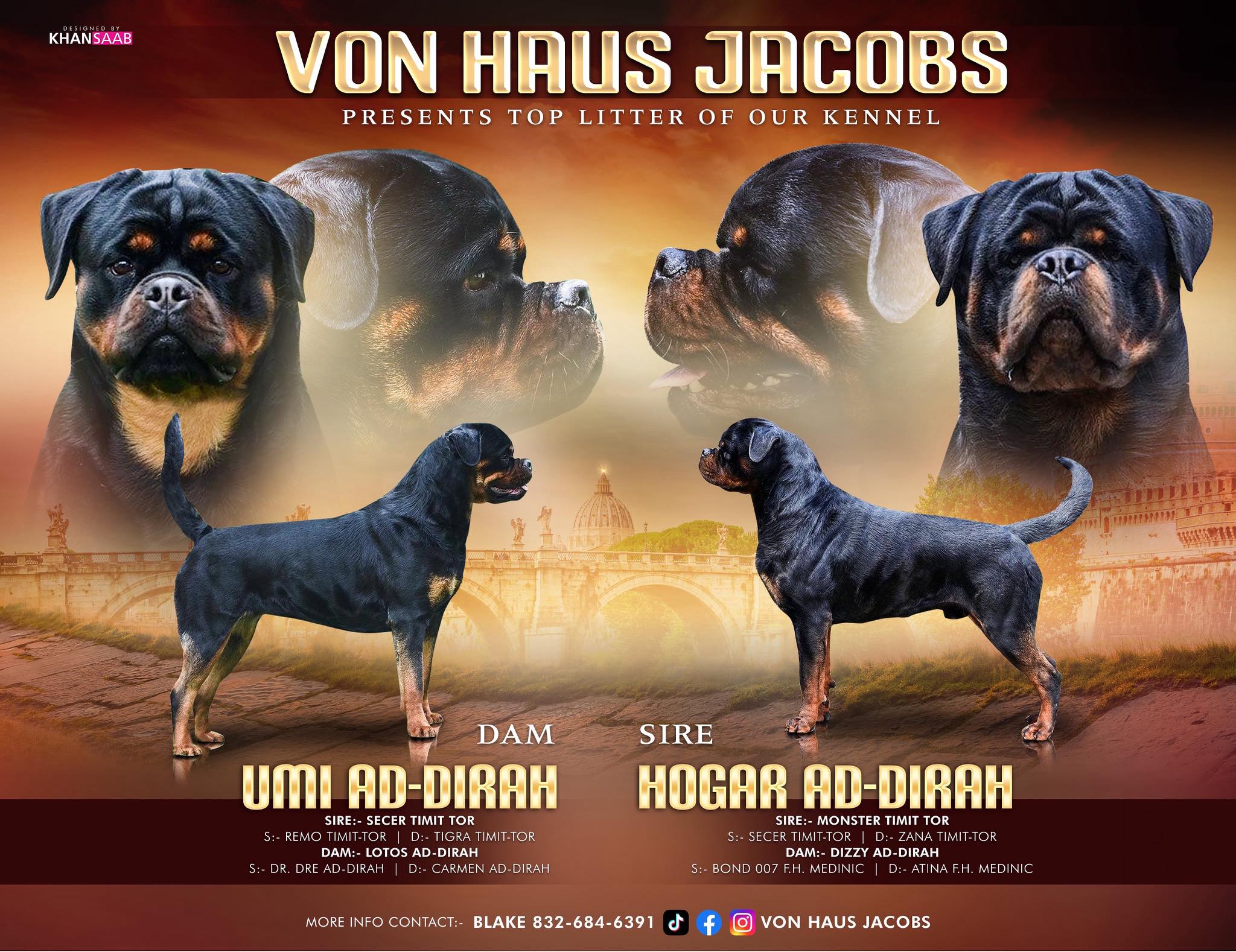 Von Haus Jacobs Rottweiler Kennel | Fresno TX