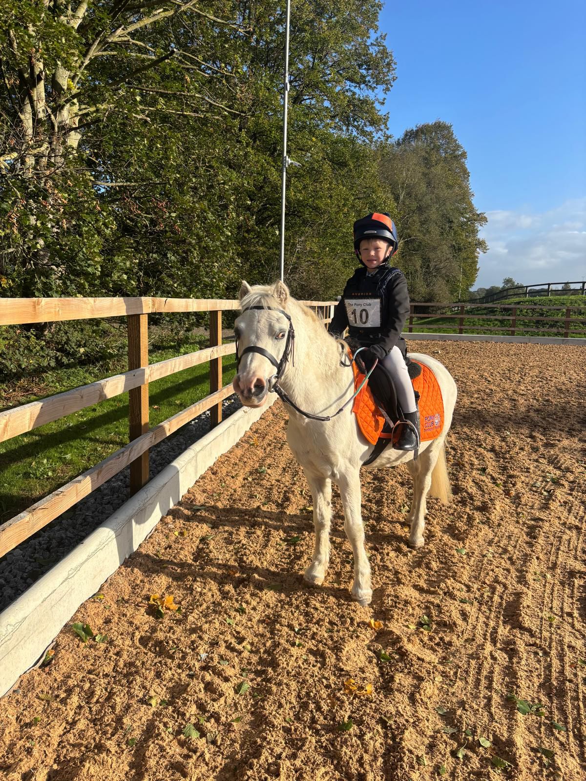 Darlington stables linked pony club