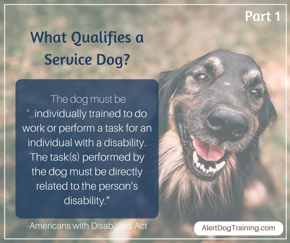 What is a Task Trained Service Dog: Essential Guide
