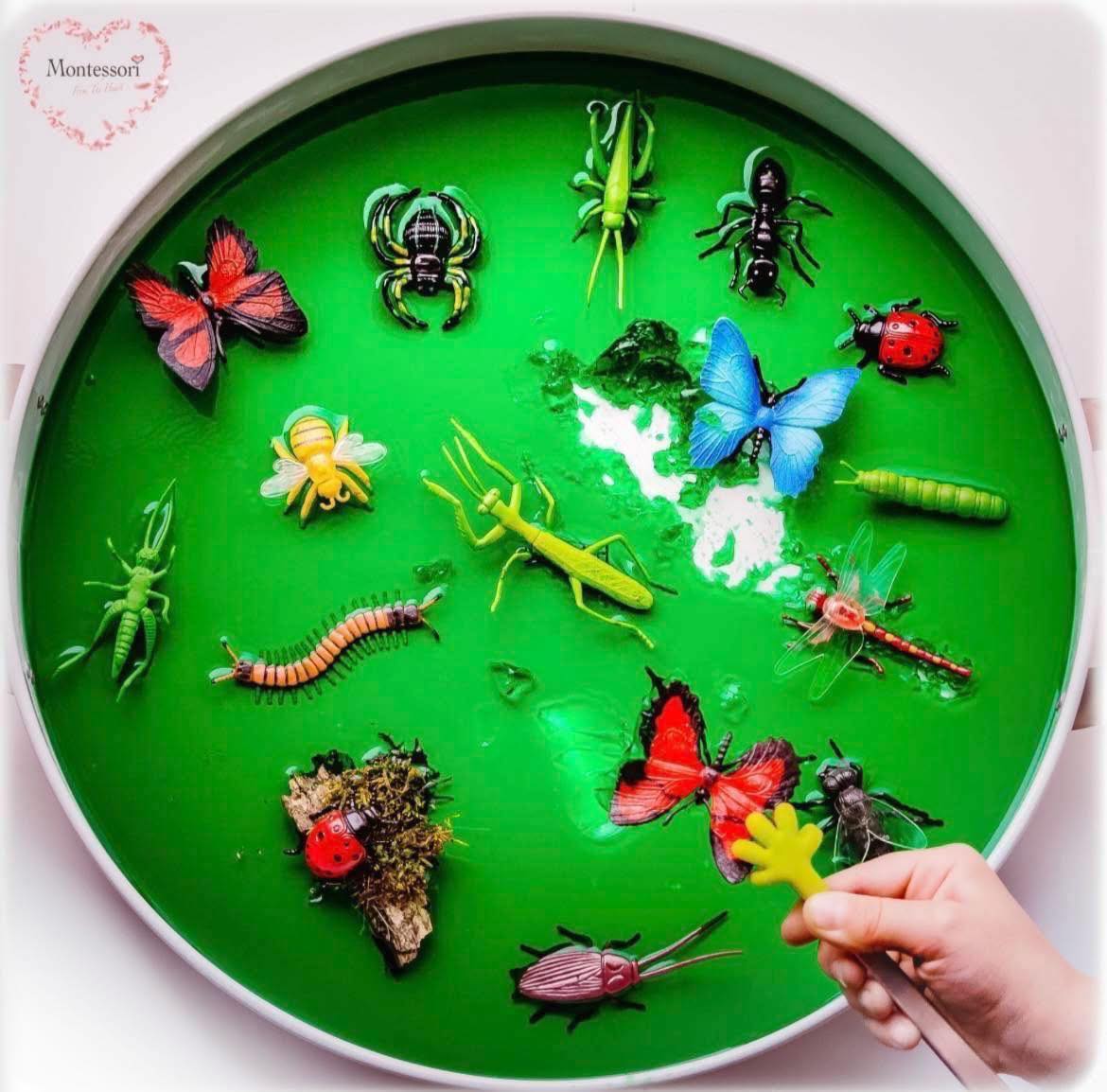 🫶 DIY Gelatine Bug 🐞 Rescue 🛟 🫶 - Montessori From The Heart | Facebook