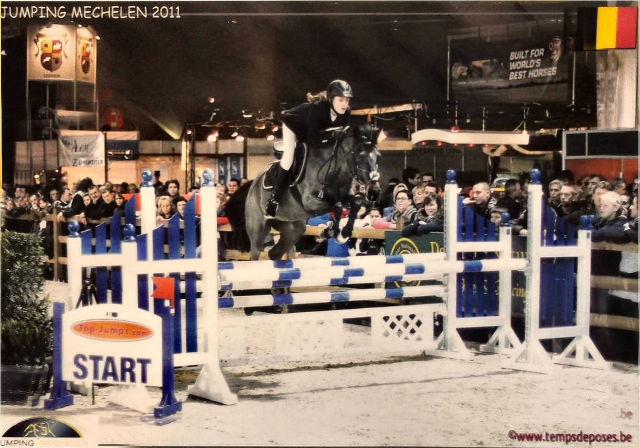 Haras de L'Eguille added a new photo. - Haras de L'Eguille