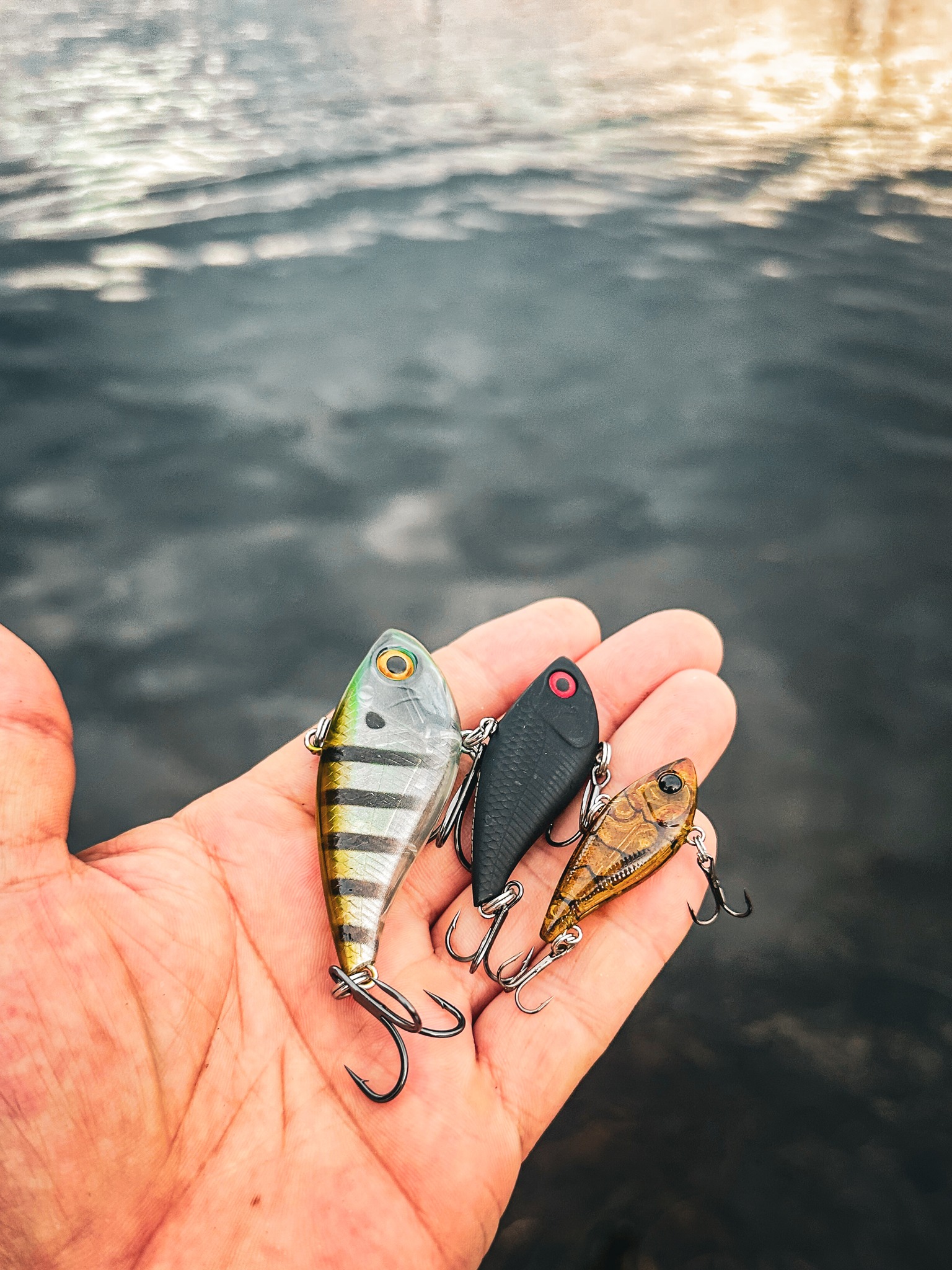 okuma ceymar Baitfeeder ensuring reliable handling while 2020-2026-ranger-620fs-pro-esi7896147 Reel Option:Banax Kaigen 1000 with Black Oak 10 AH Battery + Free Line Spooling Rod and Reel Combos