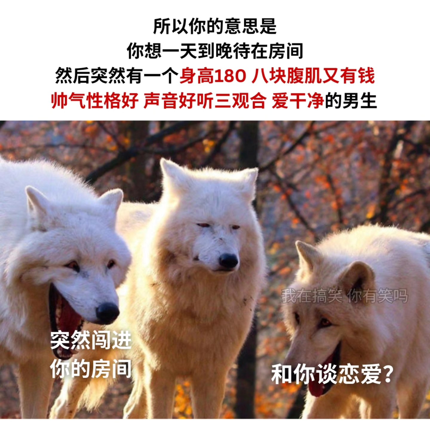 我在搞笑 - 你有什么问题 IG: areyoulaughing.meme . . #梗 #梗圖 #梗图 #梗圖系列 #梗图系列 #梗圖大全 ...