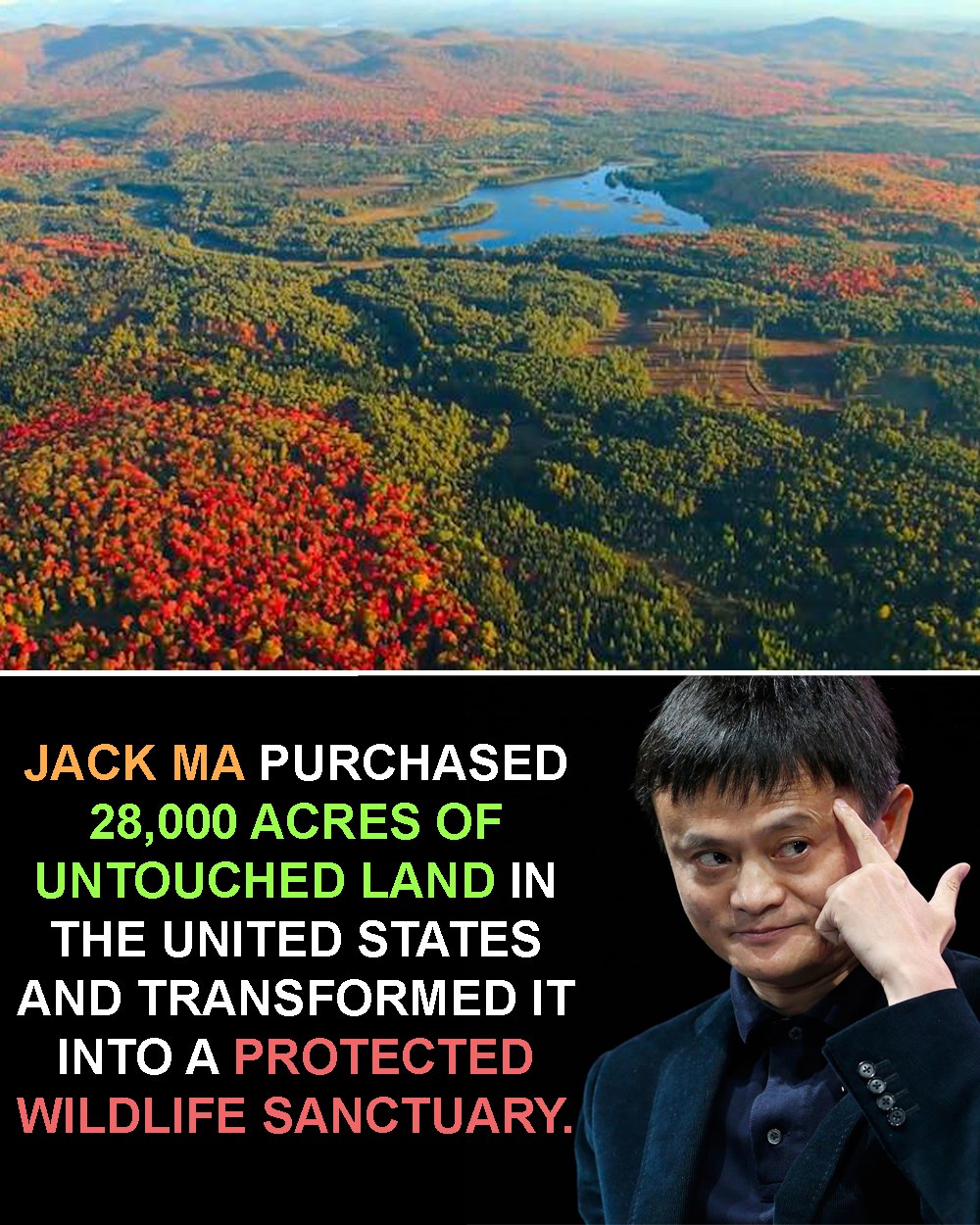Some - Jack Ma’s Quiet Escape into Nature 🌲🌄 Known globally as the face ...