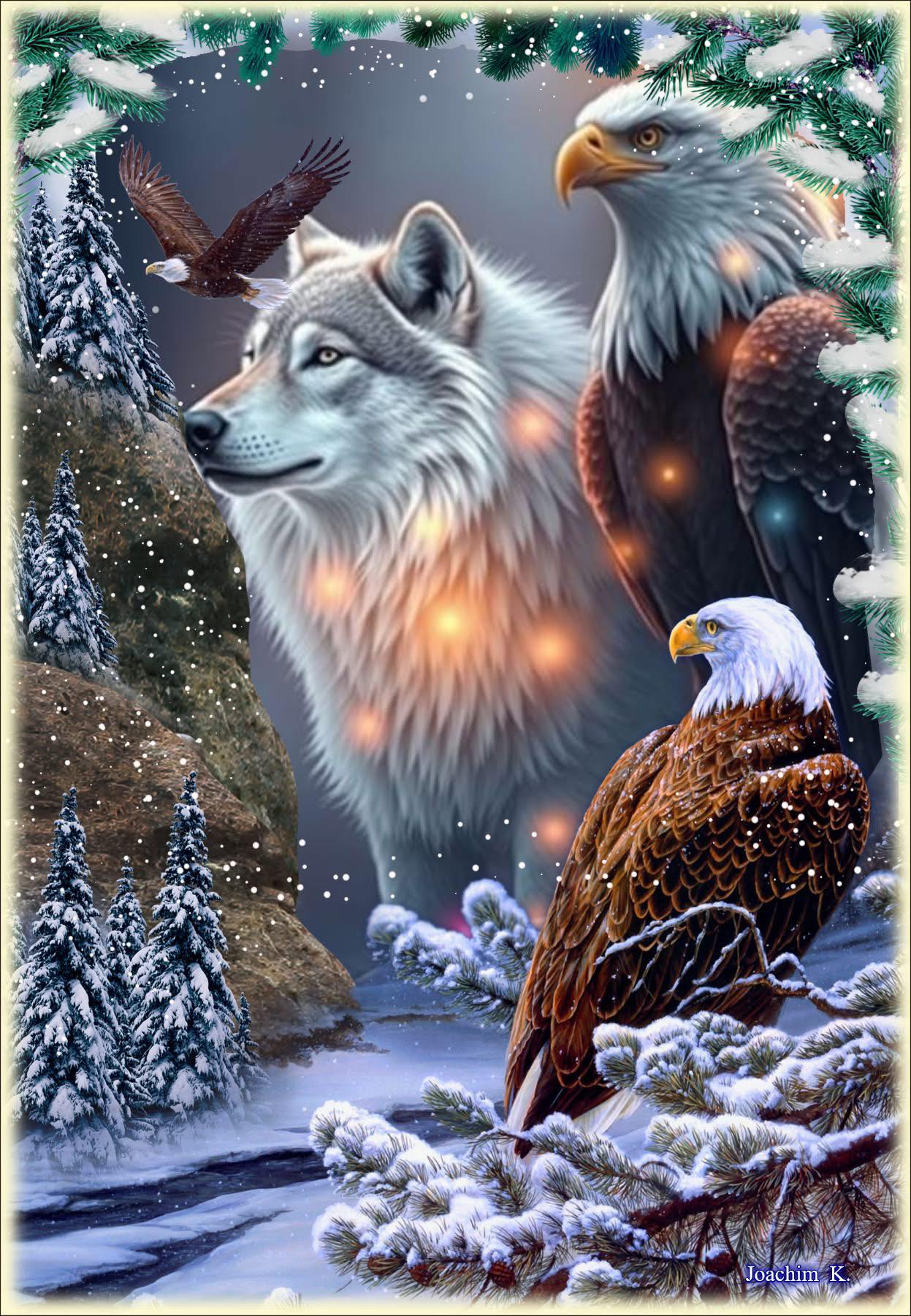 BEAUTIFUL WHITE WOLVES | Snoring white wolf 👀🐺💐🐾🤍🩶🤍(Aka little snoring ...